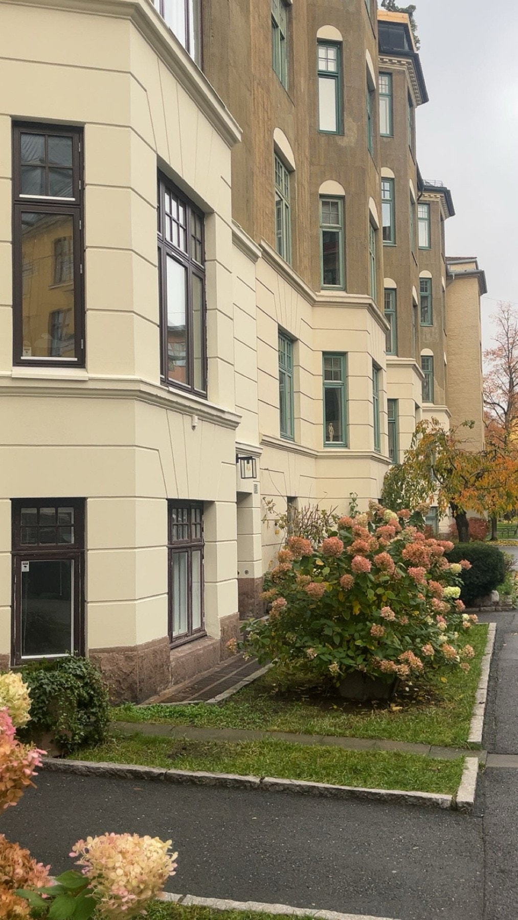 Sommer med vakker vegetasjon foran leiligheten. Galleribilde