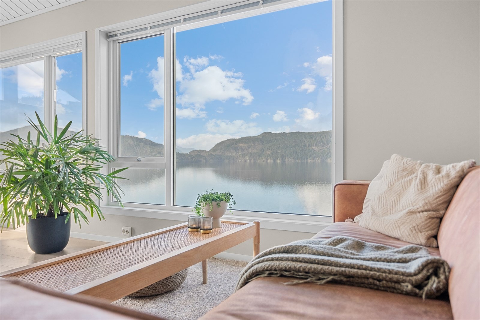 Nyere vinduer med selvrens Galleribilde