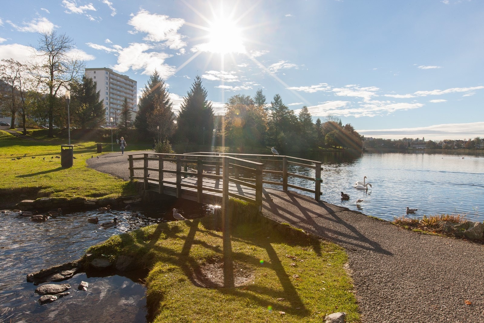 Det tar kun noen få minutter å gå til populære Tveitevannet, som er perfekt tursti for en rolig søndagstur. Galleribilde