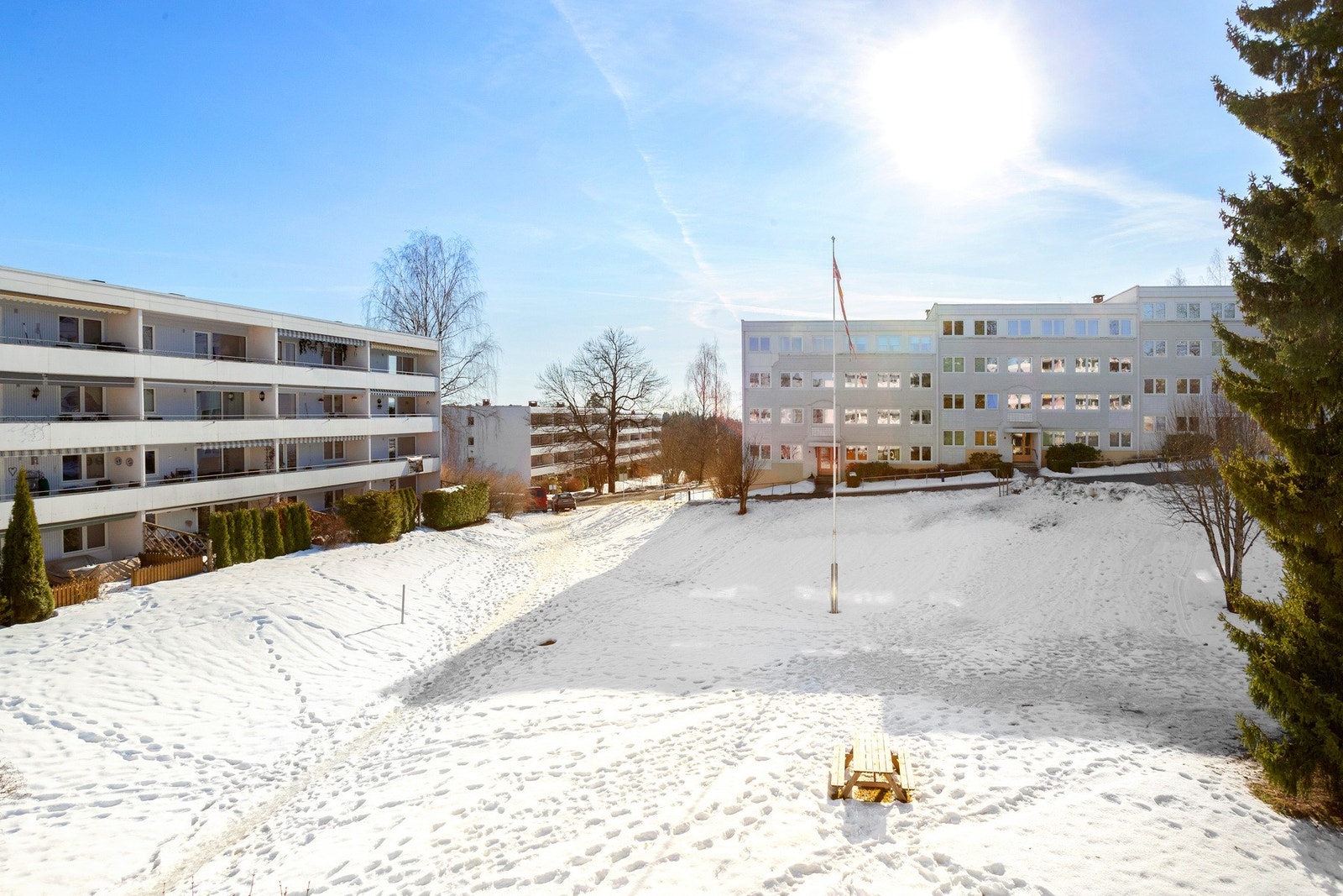 Hyggelig grøntområde Galleribilde