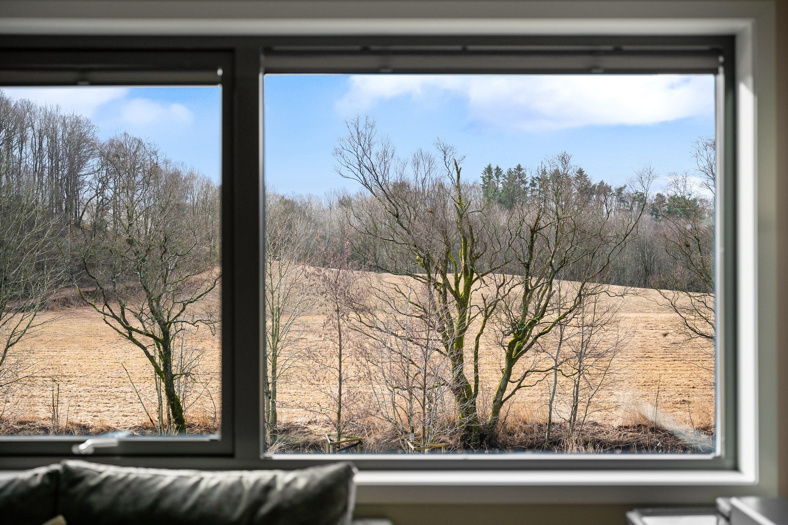 Detaljbilde. Galleribilde