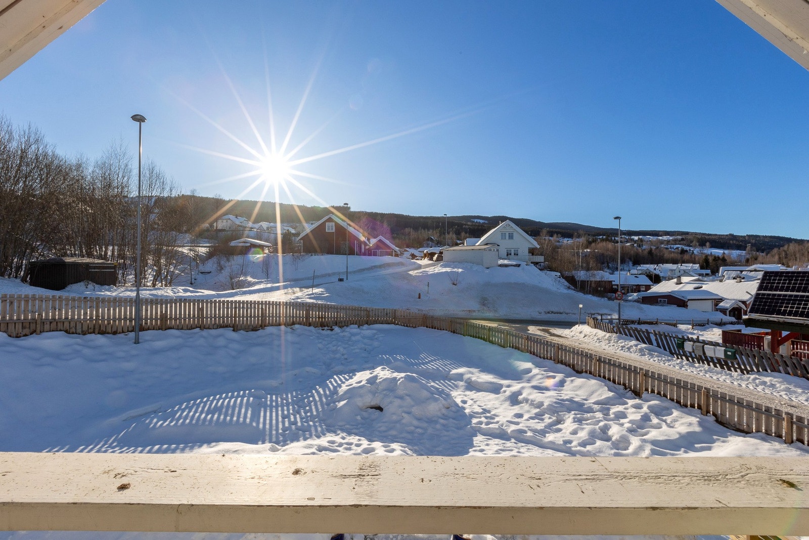 Pent opparbeidet tomt med plen og diverse beplantning. Galleribilde