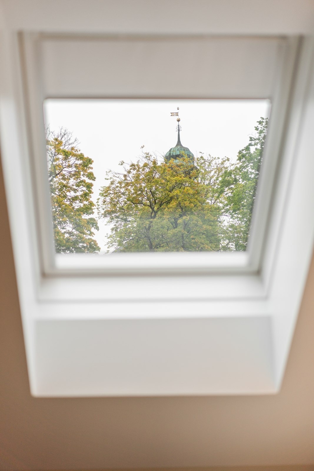 Utsikt fra takvindu. Galleribilde