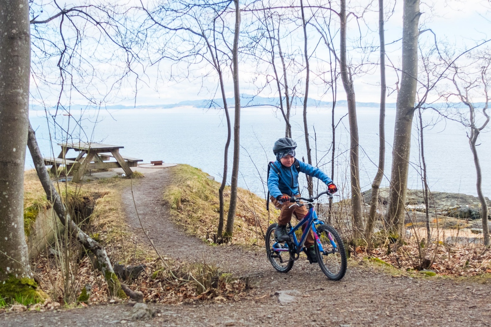 Fine turområder i umiddelbar nærhet som ladestien Galleribilde