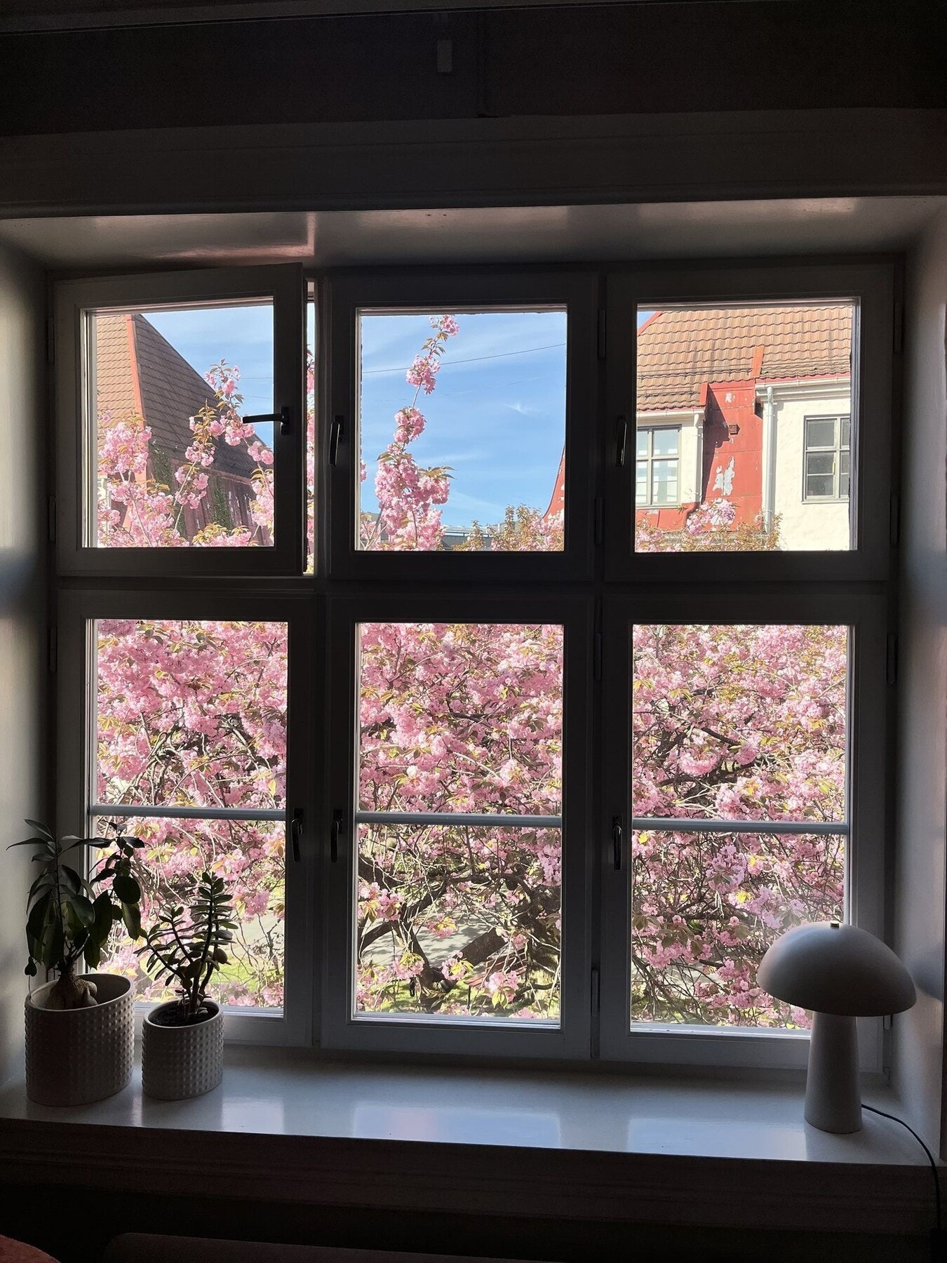 Boligen har nydelig utsyn mot det parkmessige gårdsrommet. (Sommerbilde fra selger) Galleribilde