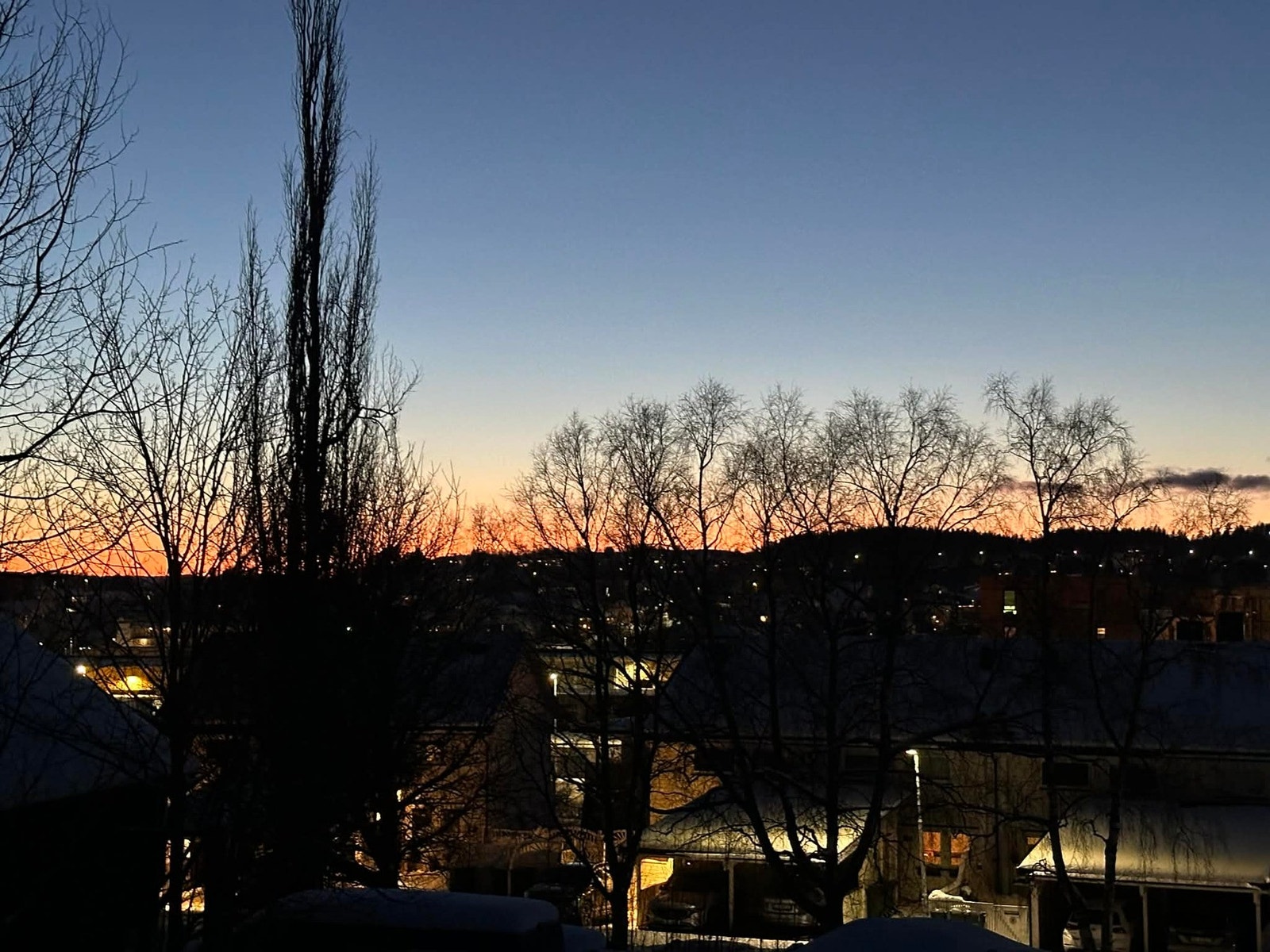 Selgers private bilder. Galleribilde