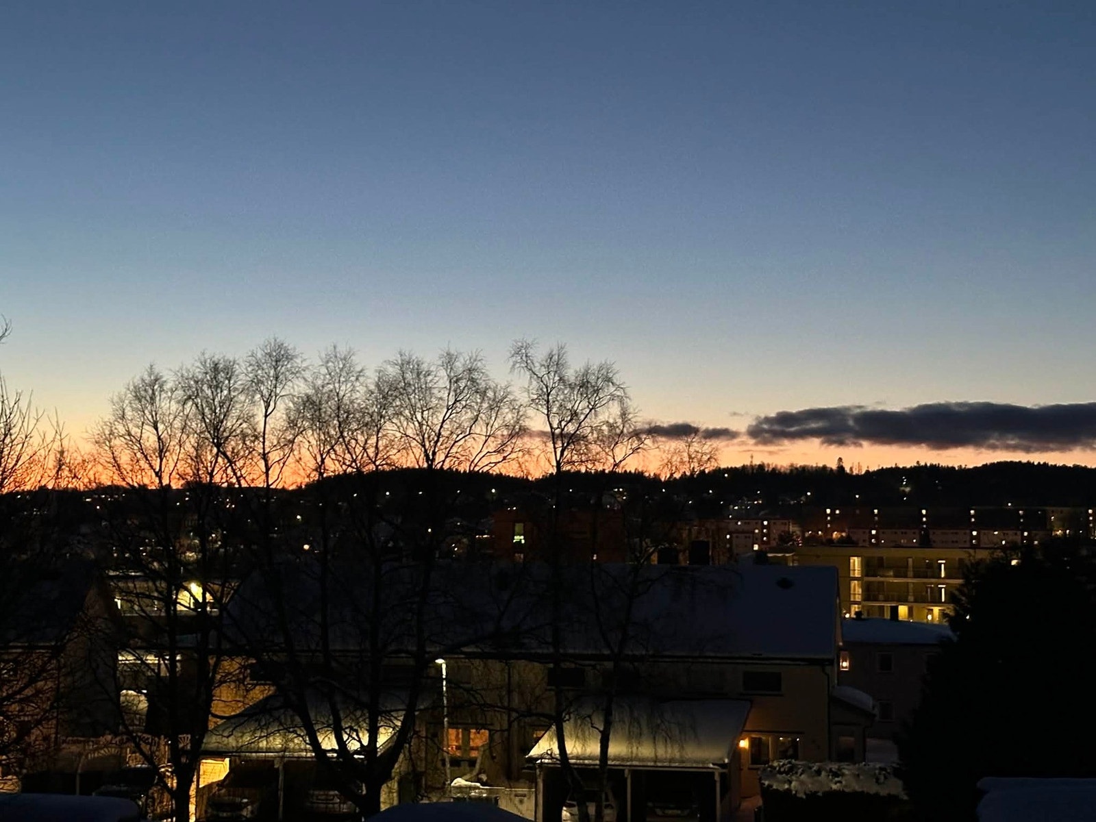 Selgers private bilder. Galleribilde