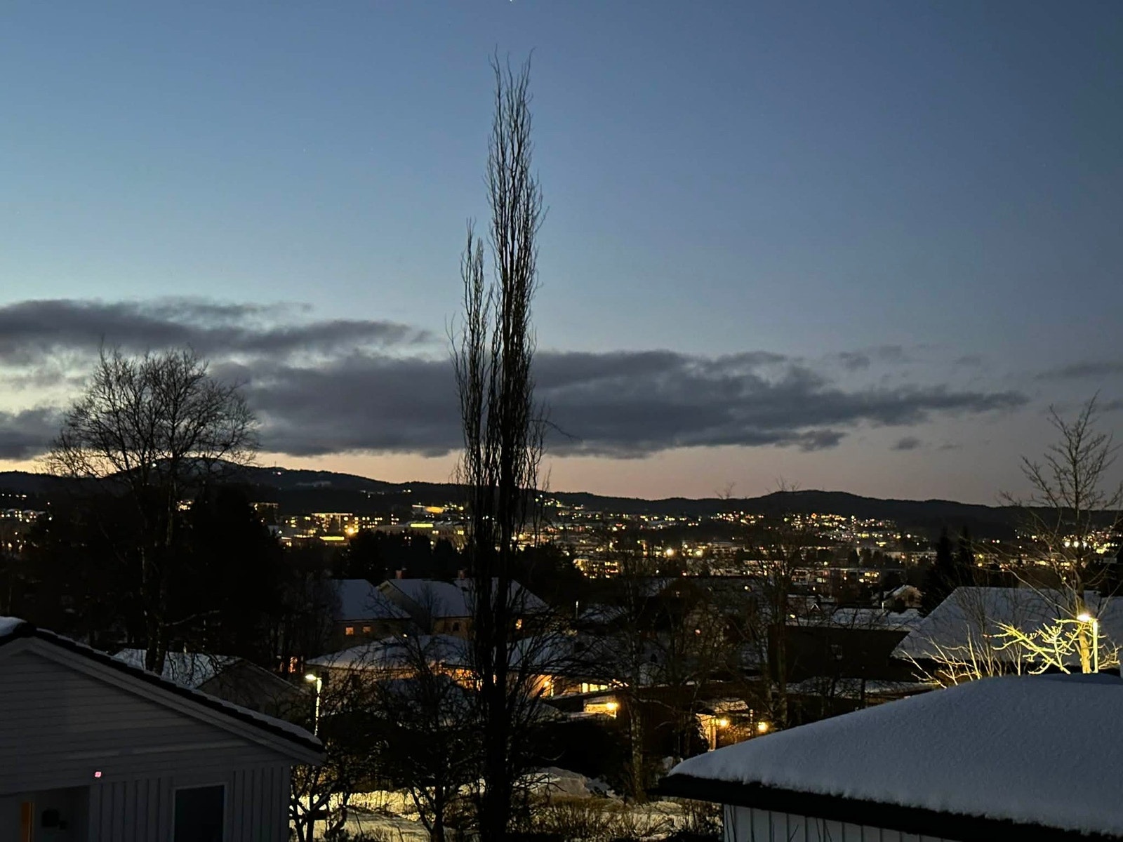 Selgers private bilder. Galleribilde