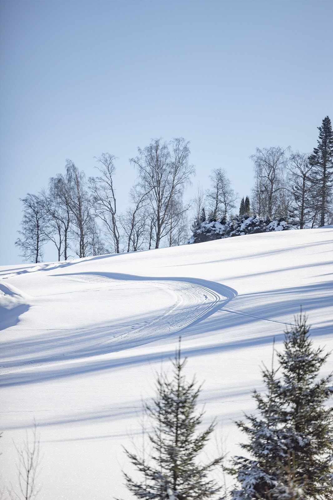 Oppkjørt skiløype på vinteren rett ved eiendommen Galleribilde