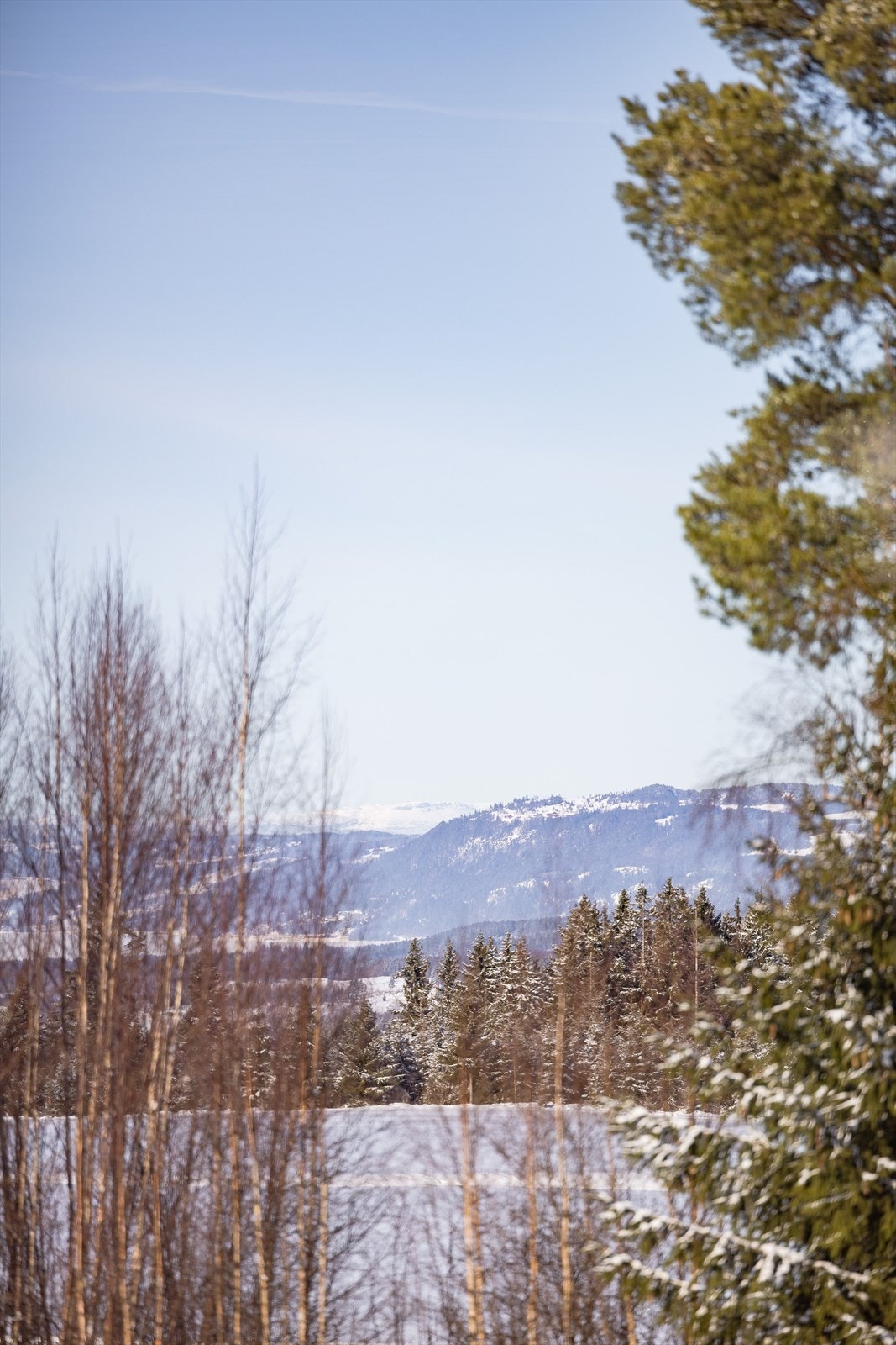 Utsikt fra kjøkkenvindu/mjøsglimt Galleribilde
