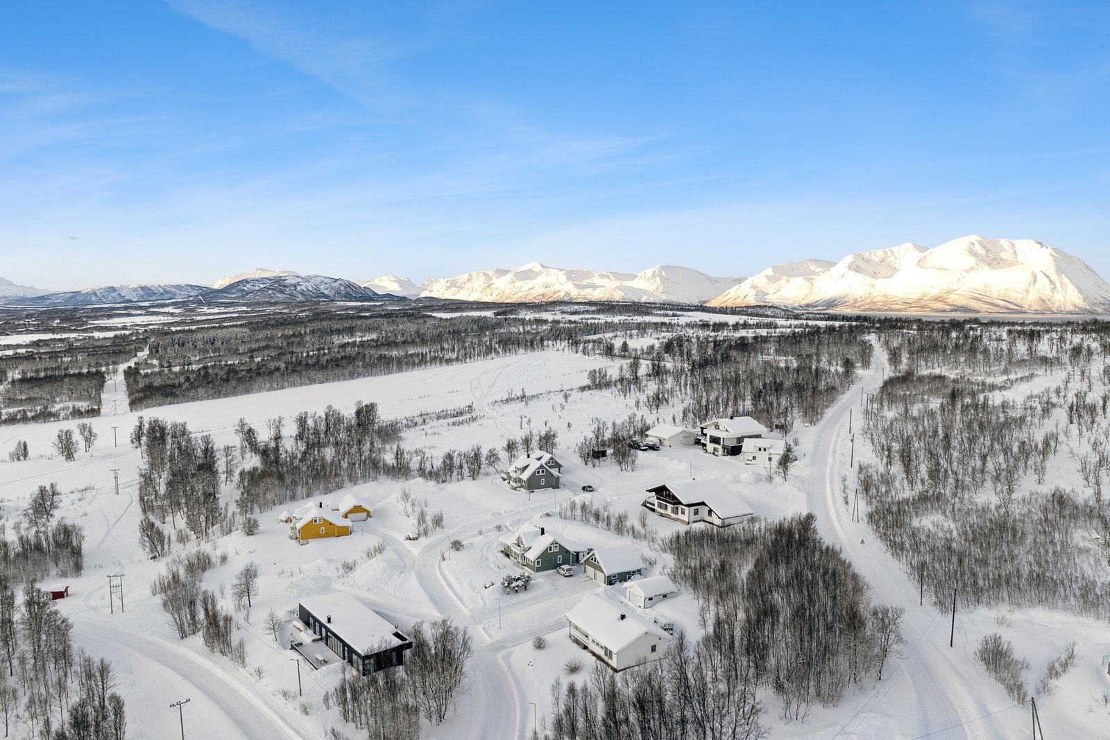 Dronefoto over nærområdet. Galleribilde