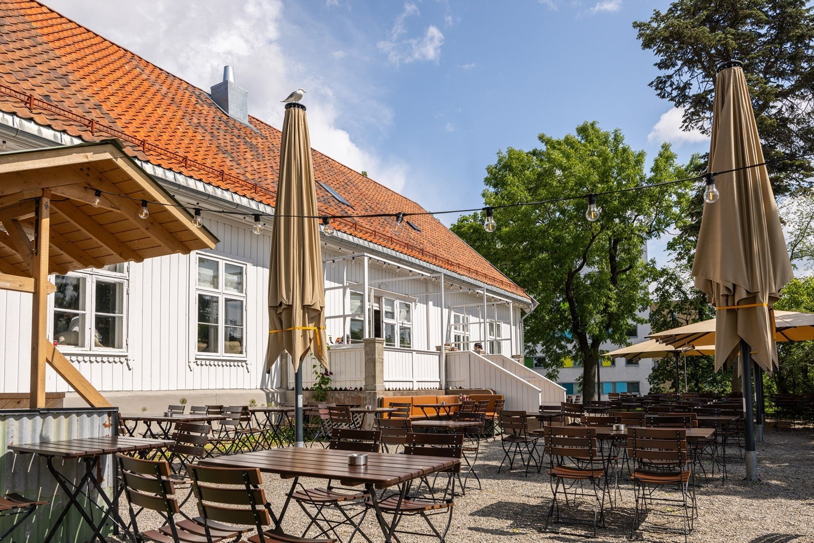 Trivelig nærområde. Galleribilde