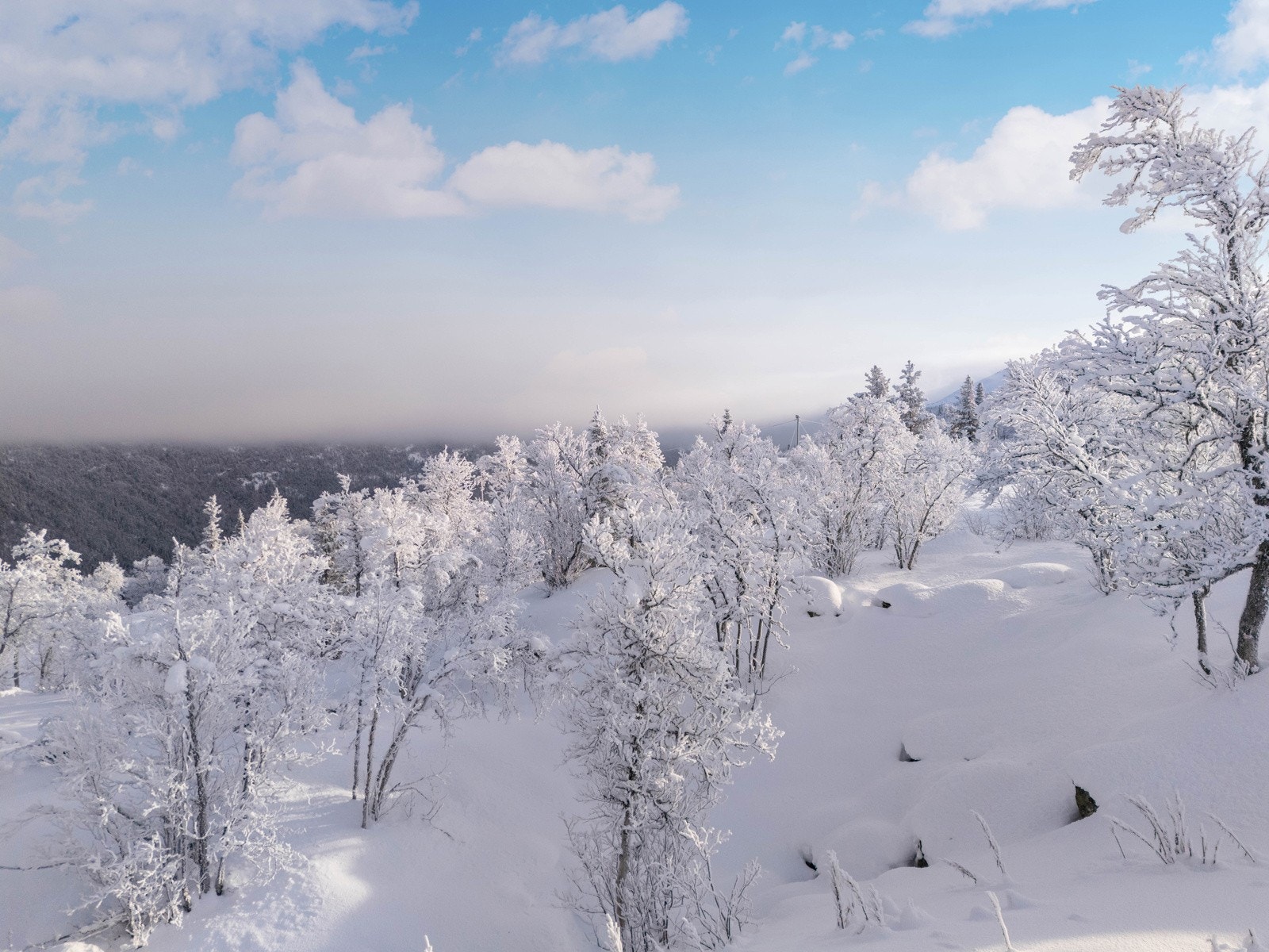 Flott skue! Galleribilde