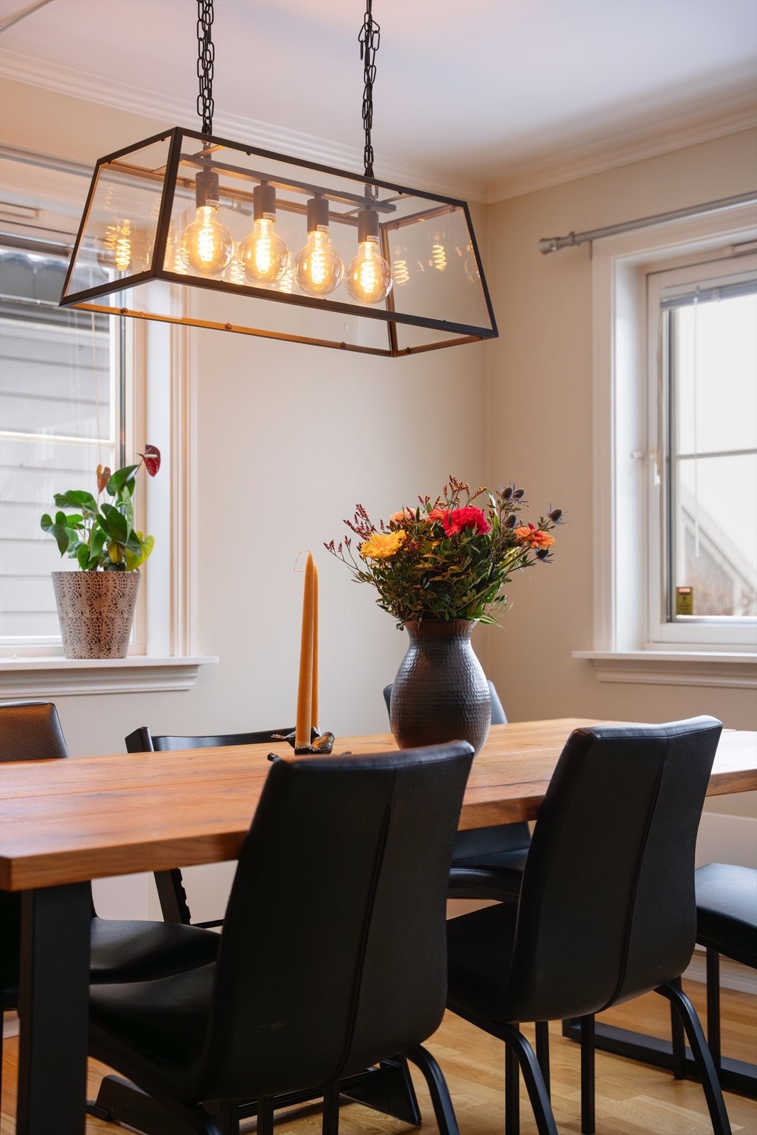 Her er det lett å trives! Galleribilde