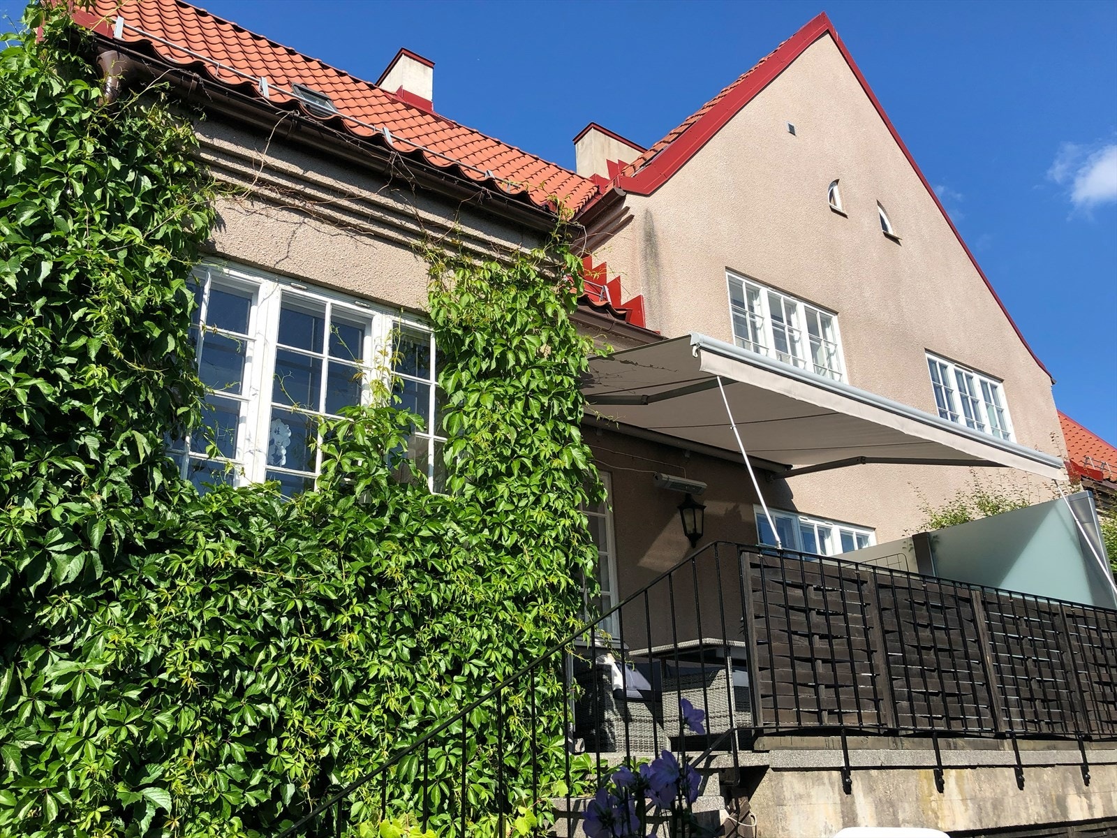 Hage på sommerstid. Galleribilde