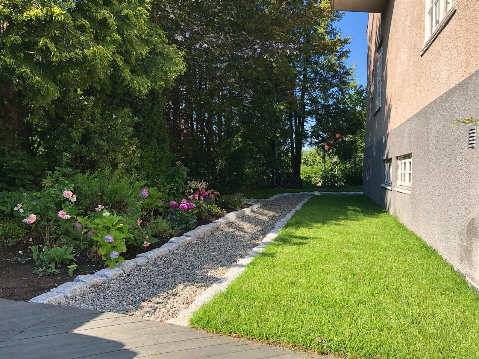 Hage på sommerstid. Galleribilde