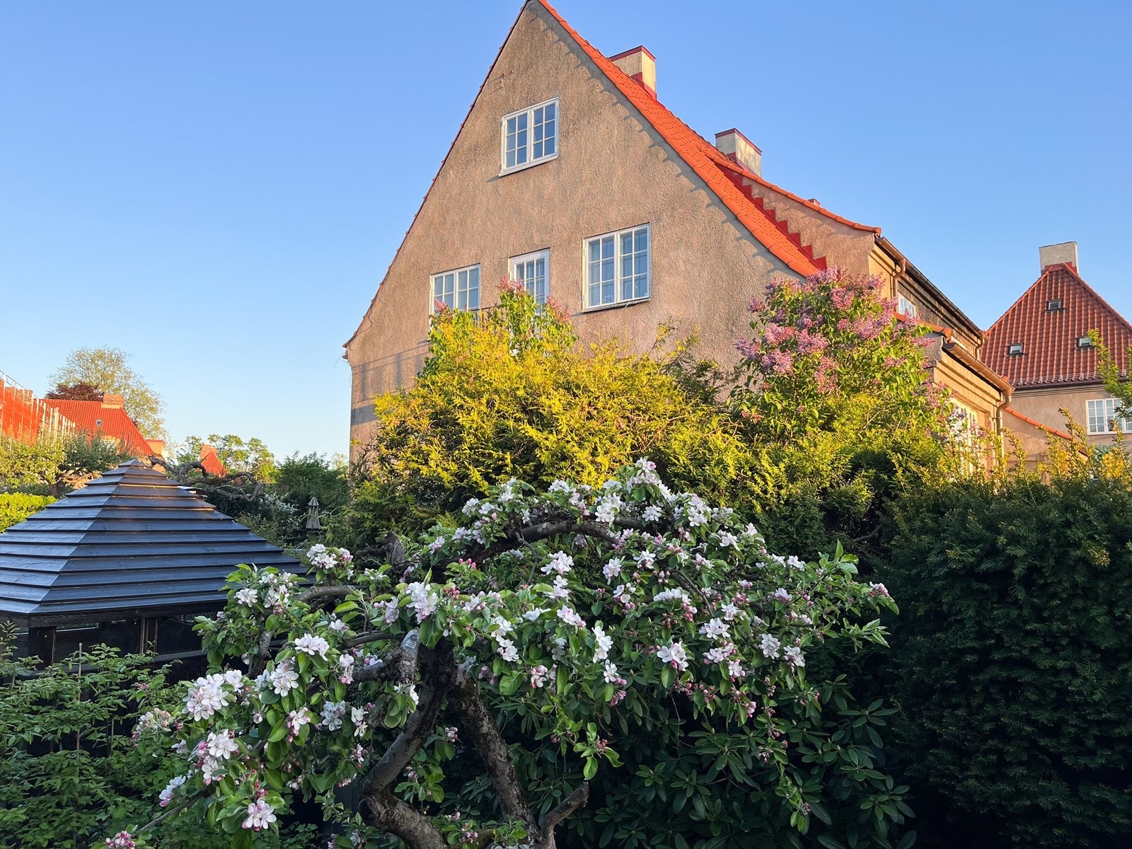 Hage på sommerstid. Galleribilde