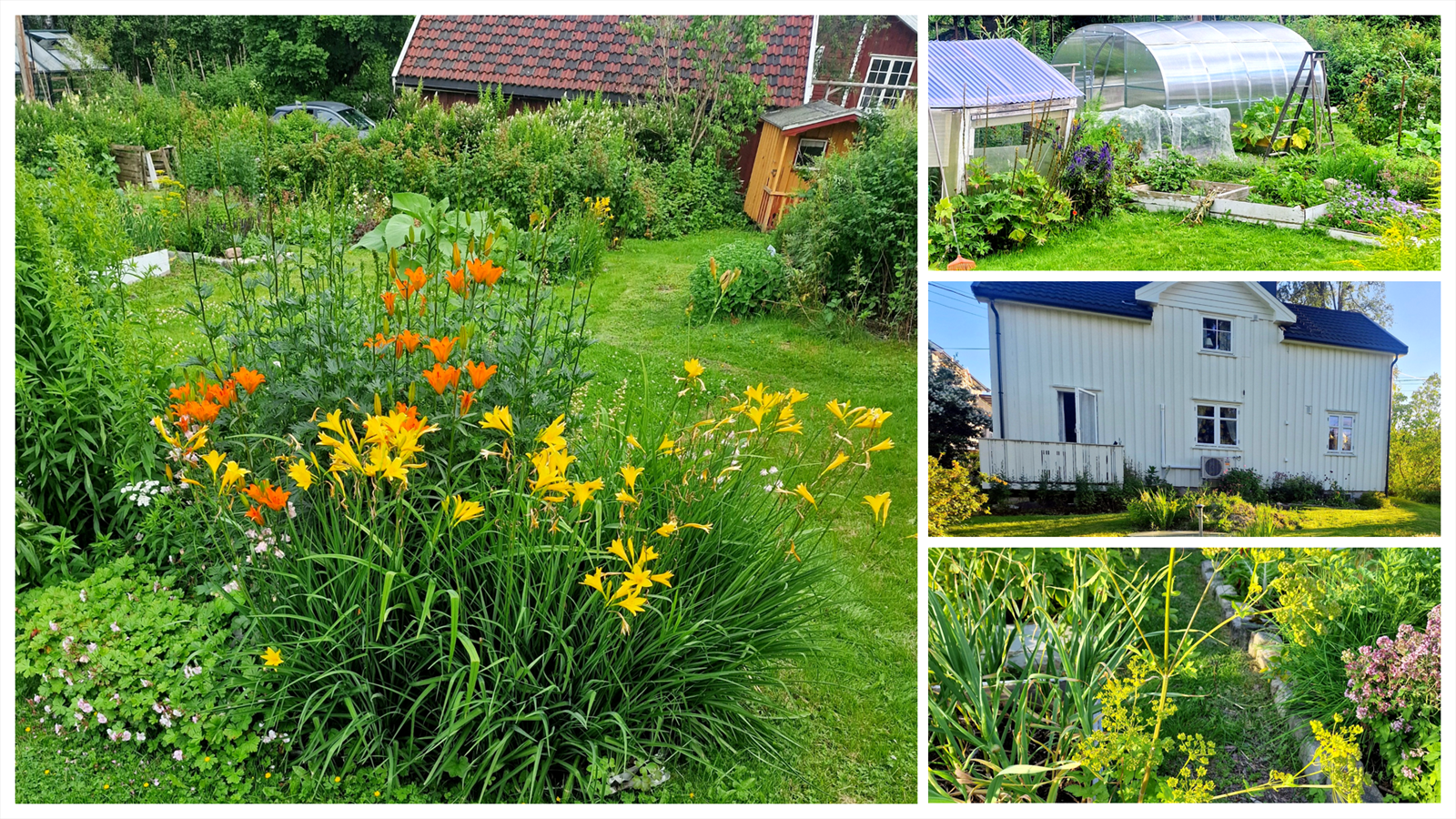 Selgers eget bilde. Frodig hage med veksthus og blomsterskatter som viser gjennom sesongen. Galleribilde