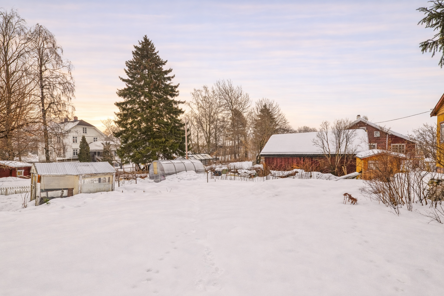 Det er veksthus i hagen og flotte vekster og blomster som titter frem når våren kommer. Galleribilde