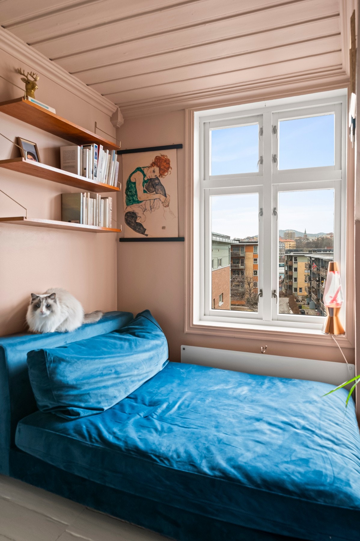 Grefsenkollen og kampen i bakgrunnen Galleribilde