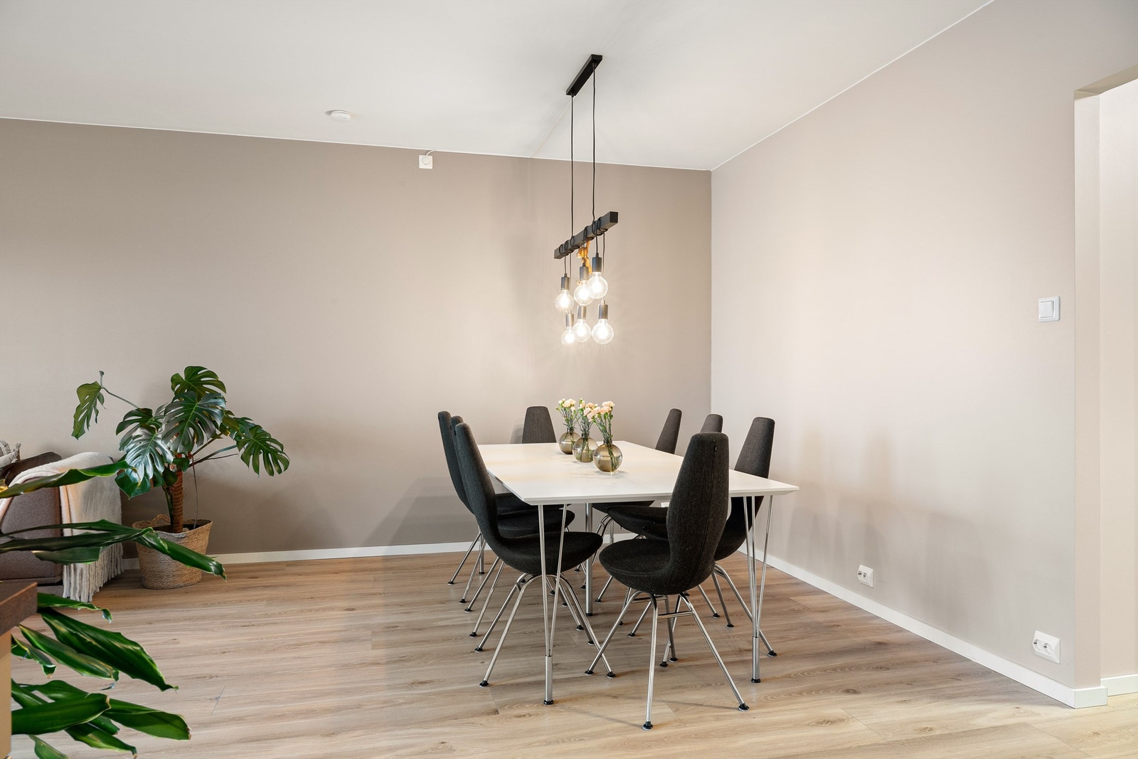 Spiseplass. Galleribilde