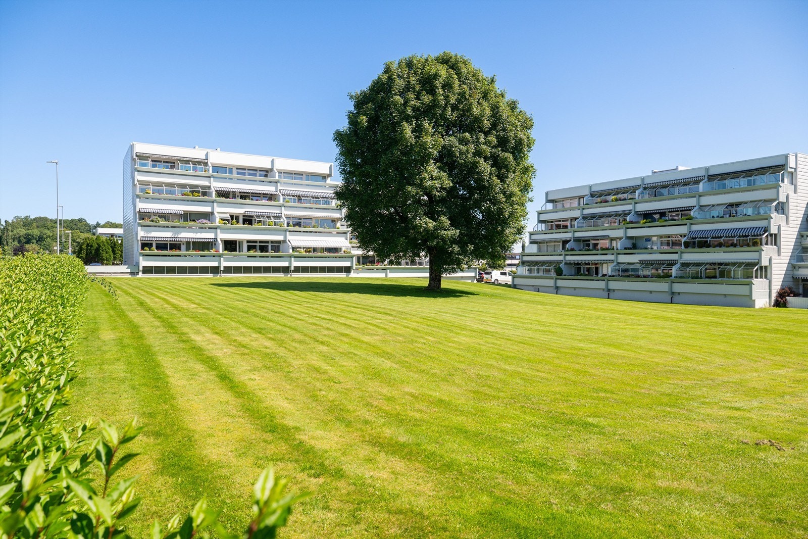 Borettslaget har flotte fellesområder. Her ligger man nært det meste man trenger i hverdagen samt kort vei til buss/tog. Galleribilde