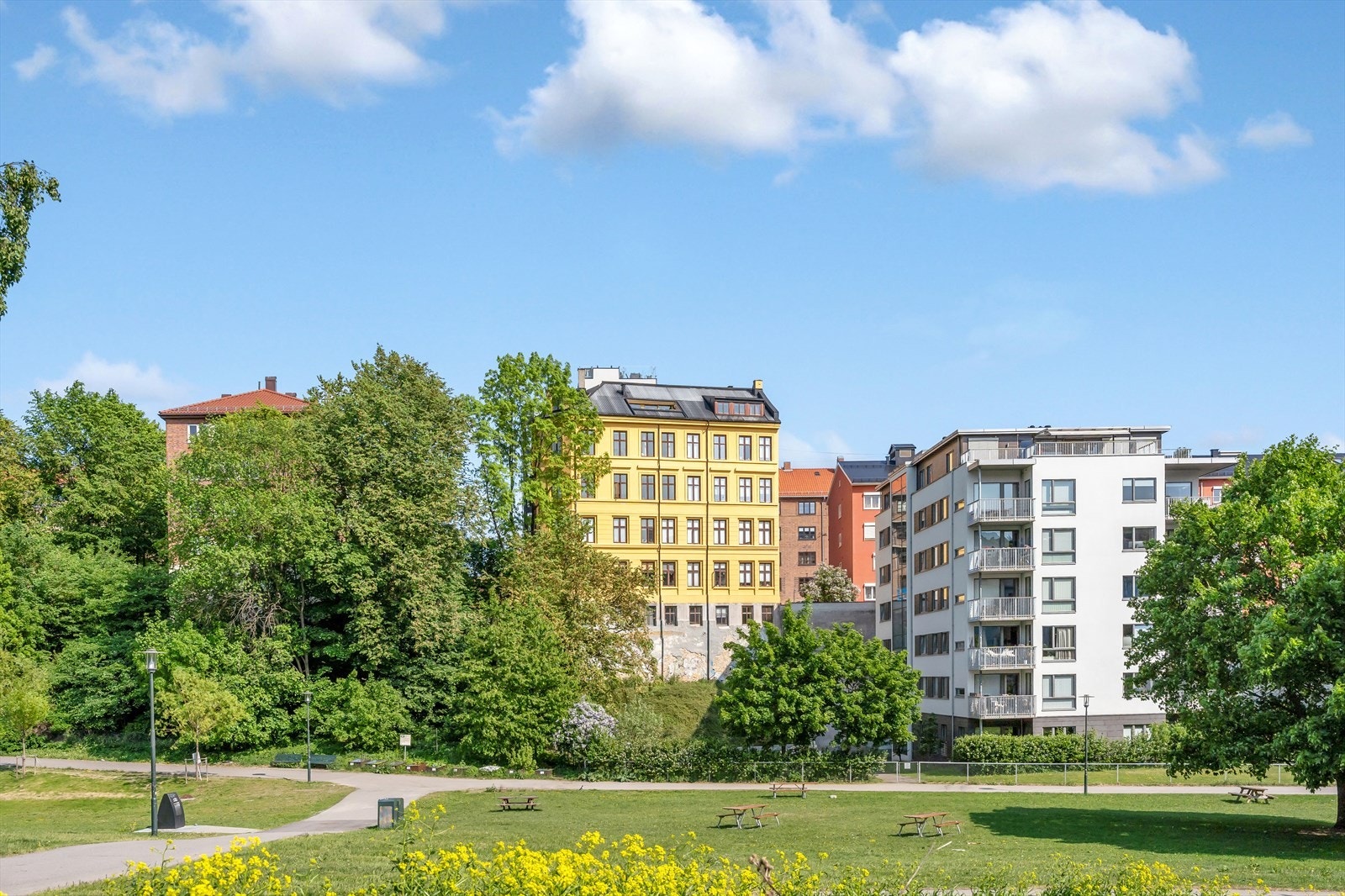 Ila-parken byr på flotte grøntarealer som egner seg godt for både turer, opphold i solen og hyggelige stunder med familie og venner. Galleribilde