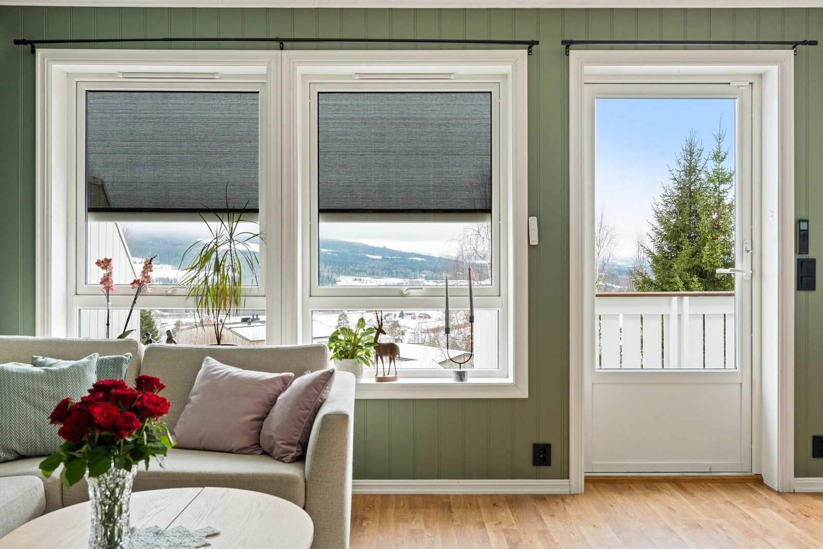 Screens er montert på stuevinduer. Galleribilde