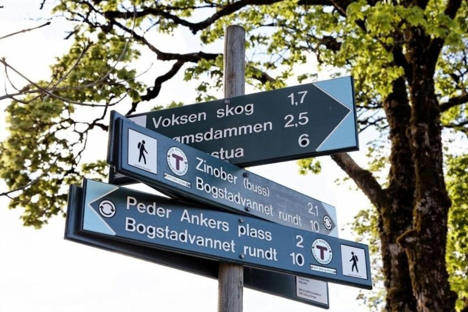 Området er omgitt av flotte tur- og rekreasjonsmuligheter. Galleribilde