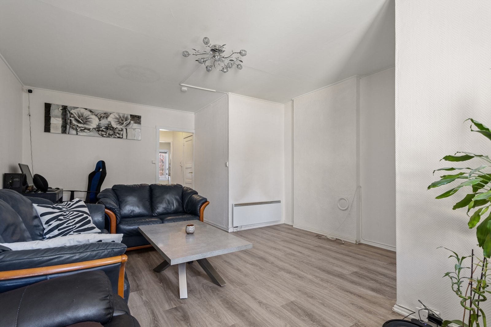 Plass til både sofa- og spisegruppe. Galleribilde