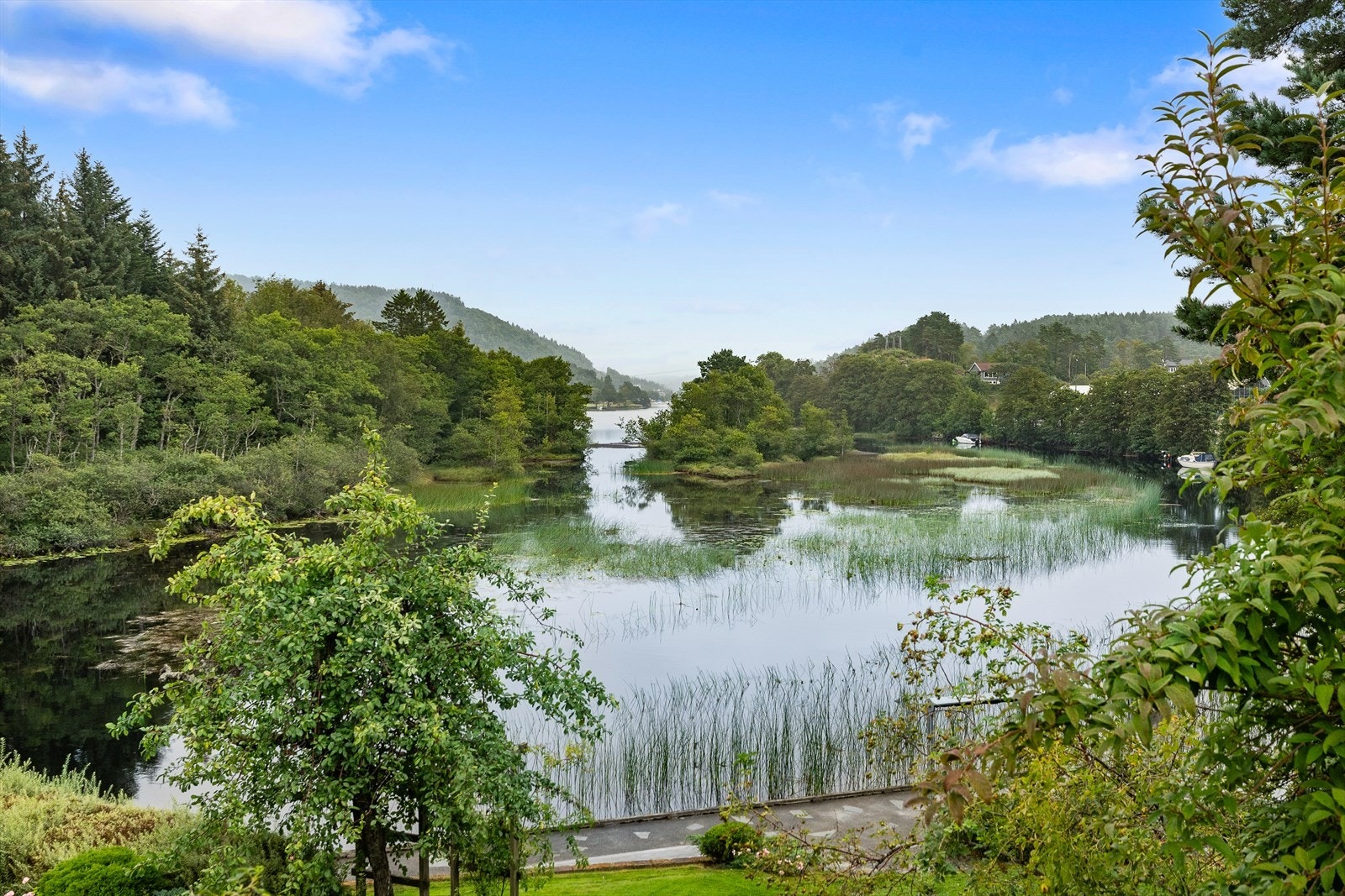 Utsikt mot hagen. Galleribilde