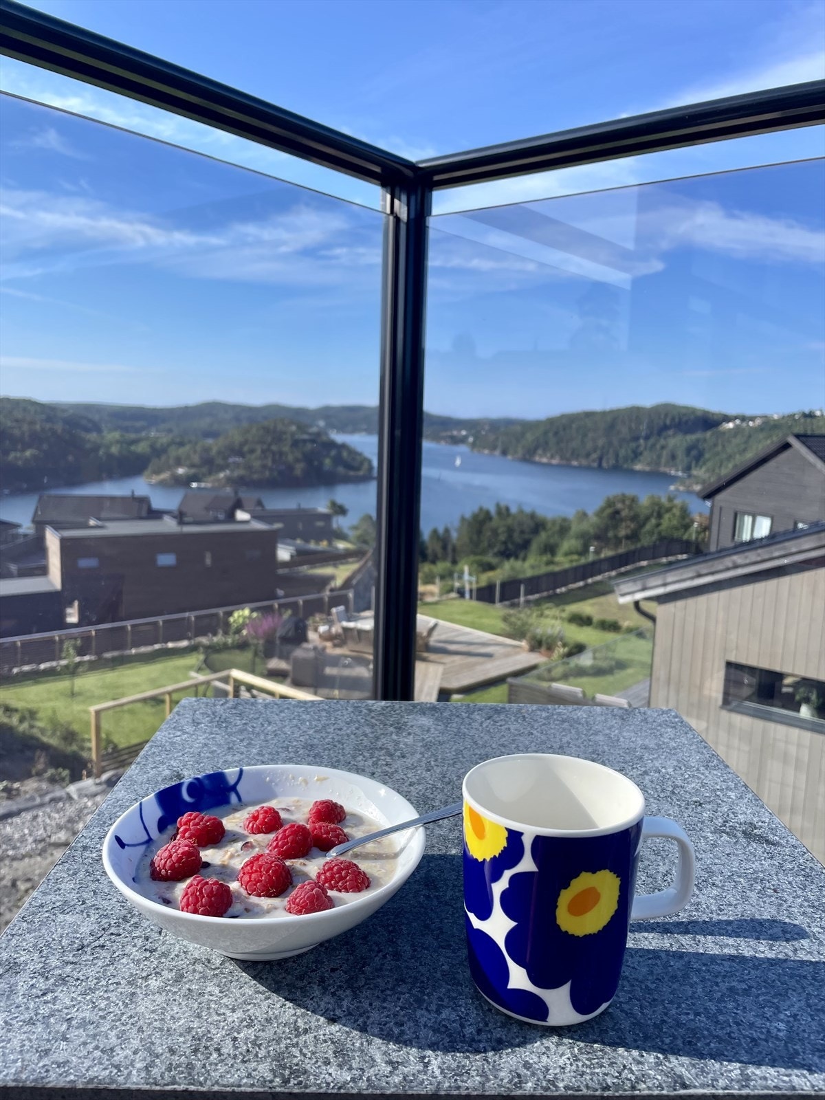 Fantastisk utsikt mot Epleviktangen og Tvedestrandsfjorden hvor det er mye liv og røre man kan se i sommersesong. Galleribilde