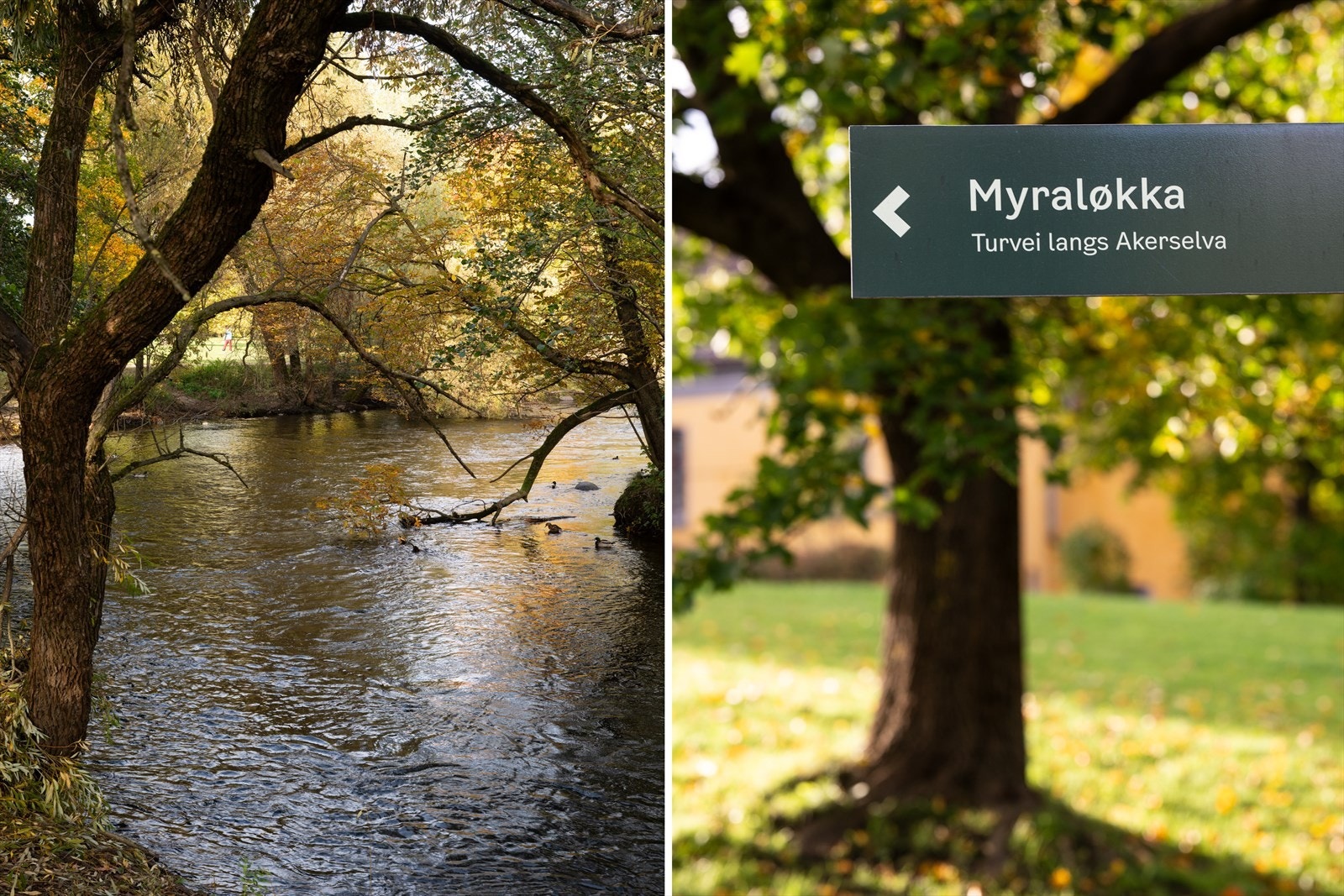 Rett utenfor dørterskelen har man også tilgang på hyggelige turmuligheter langs idylliske Akerselva Galleribilde