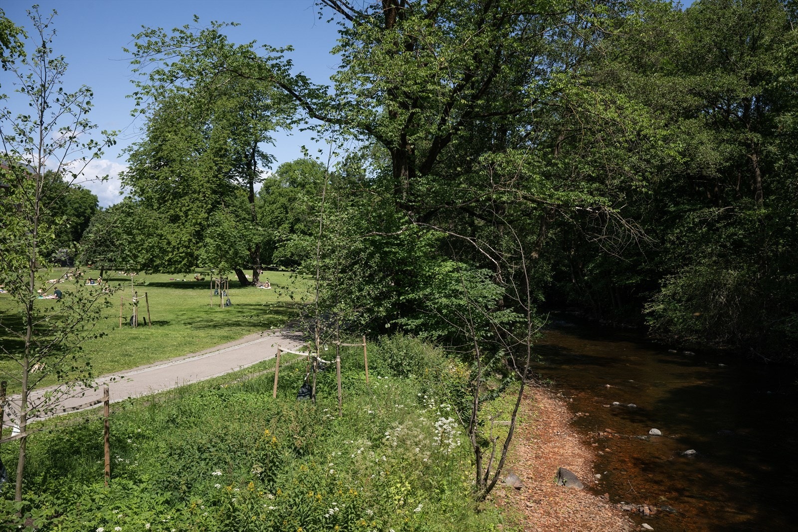 Som nærmeste nabo har man både populære Bjølsendumpa og Myraløkka - to av nærområdets mange parker Galleribilde