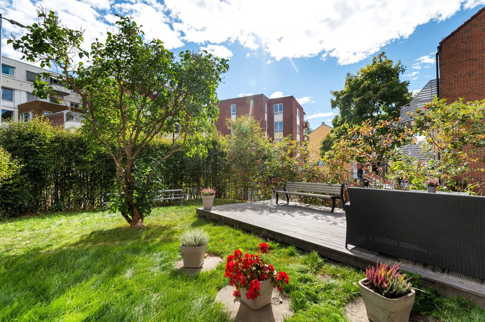 Frodig og hyggelig felleshage Galleribilde