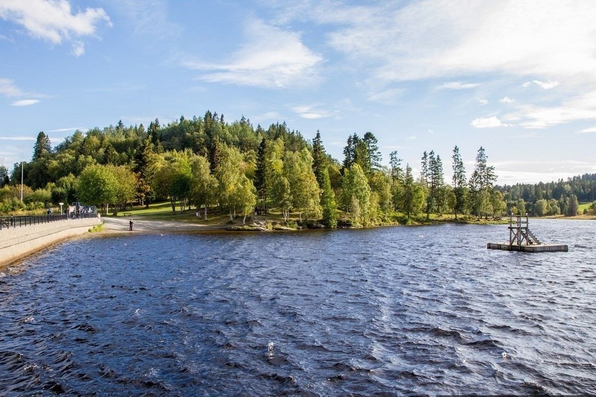Theisendammen ligger også kort gang fra leiligheten. Her er det flytebrygge og strand og herlige vinteraktiviteter vinterstid Galleribilde