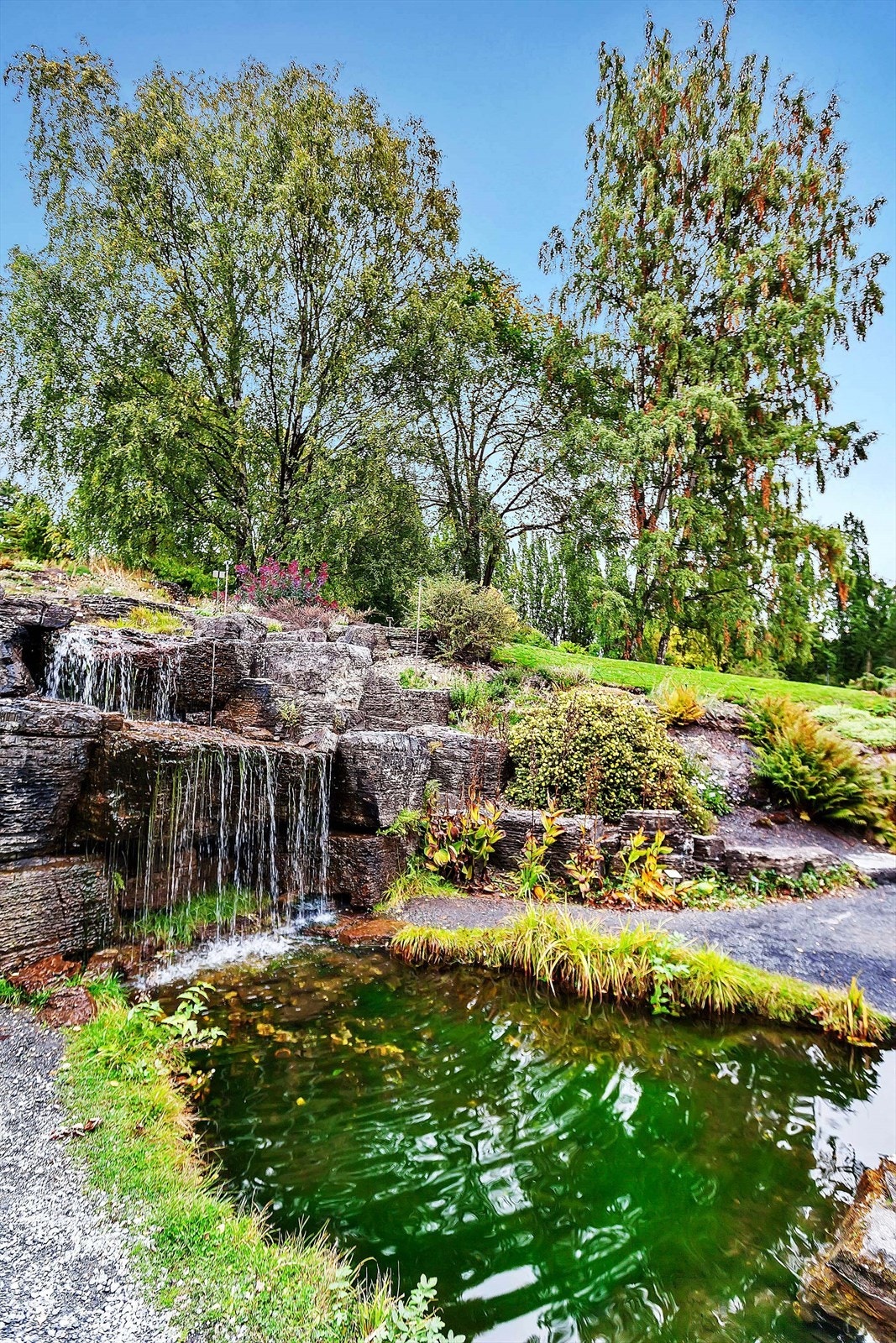 Botanisk Hage Galleribilde