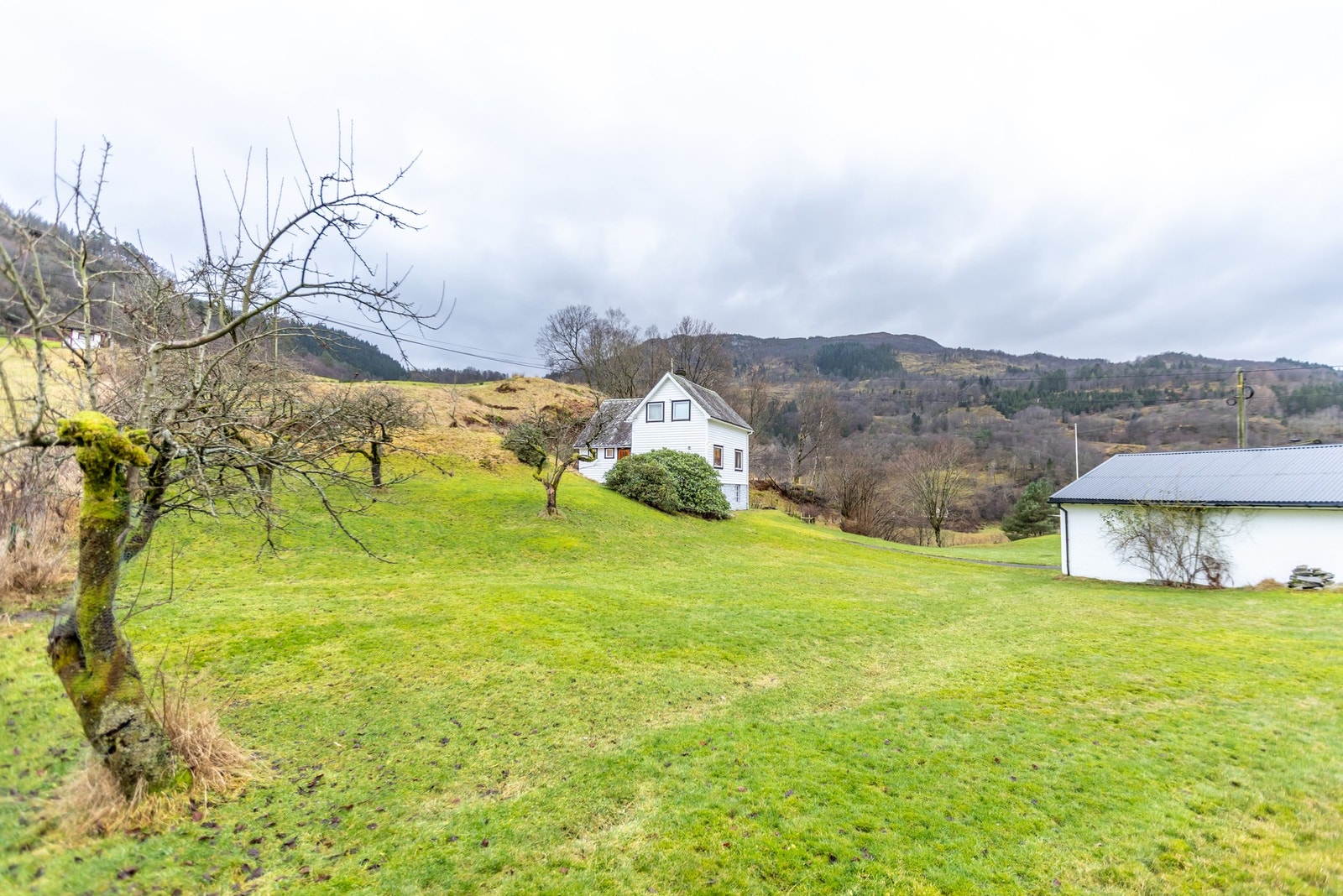 Vinterbilder Galleribilde