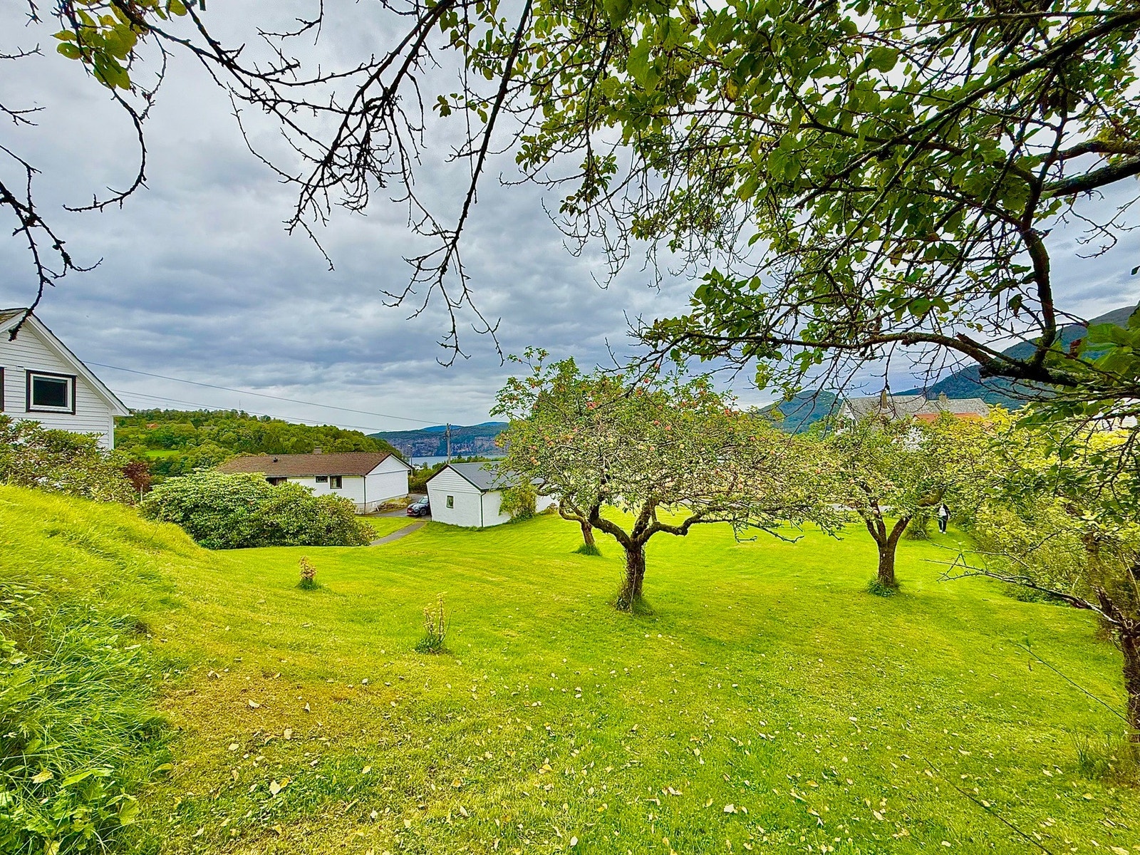 Frukthage Galleribilde