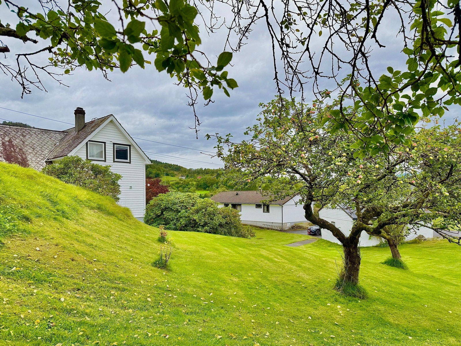 Frukthage Galleribilde