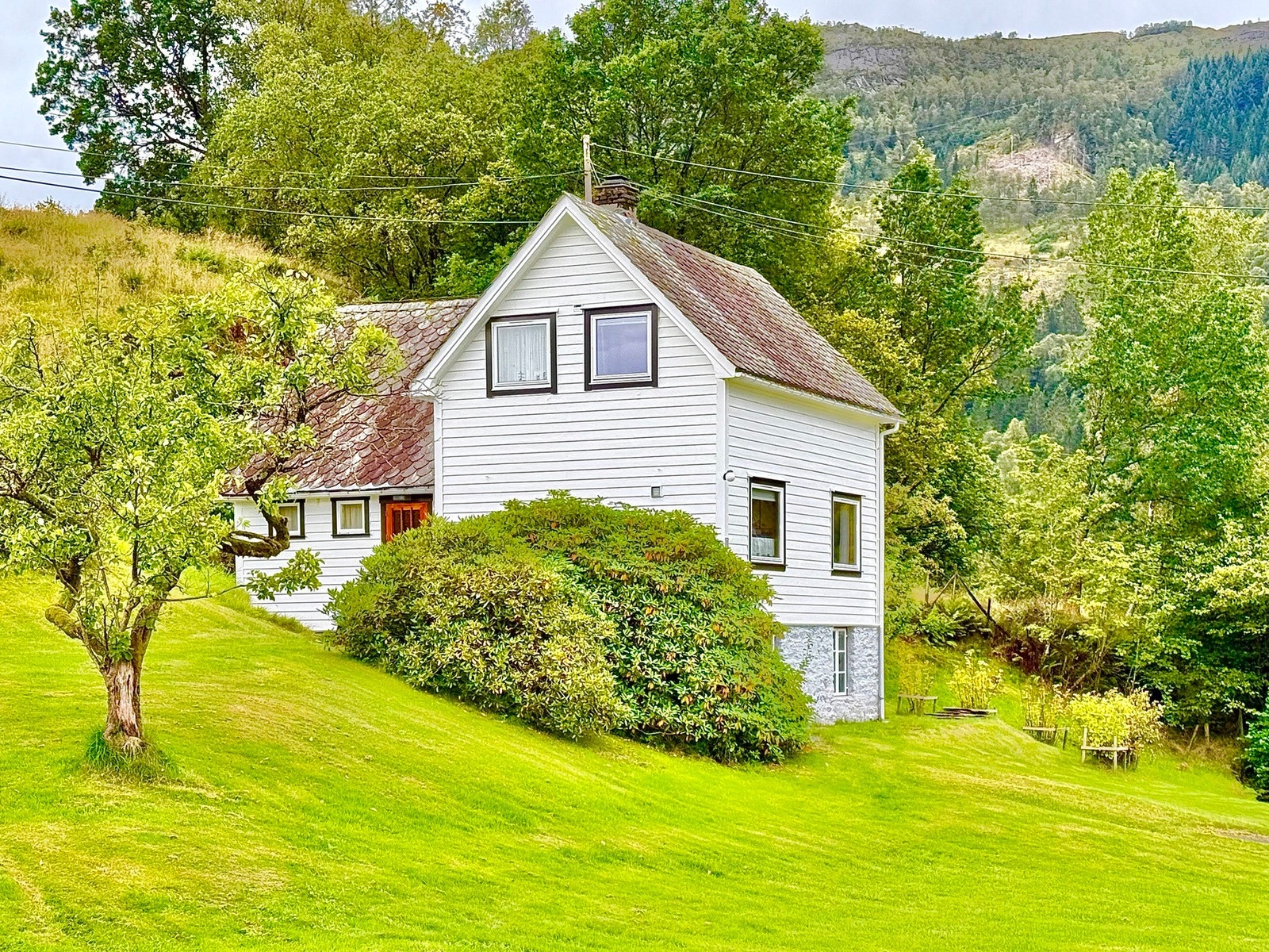 Ren vestlandsidyll Galleribilde