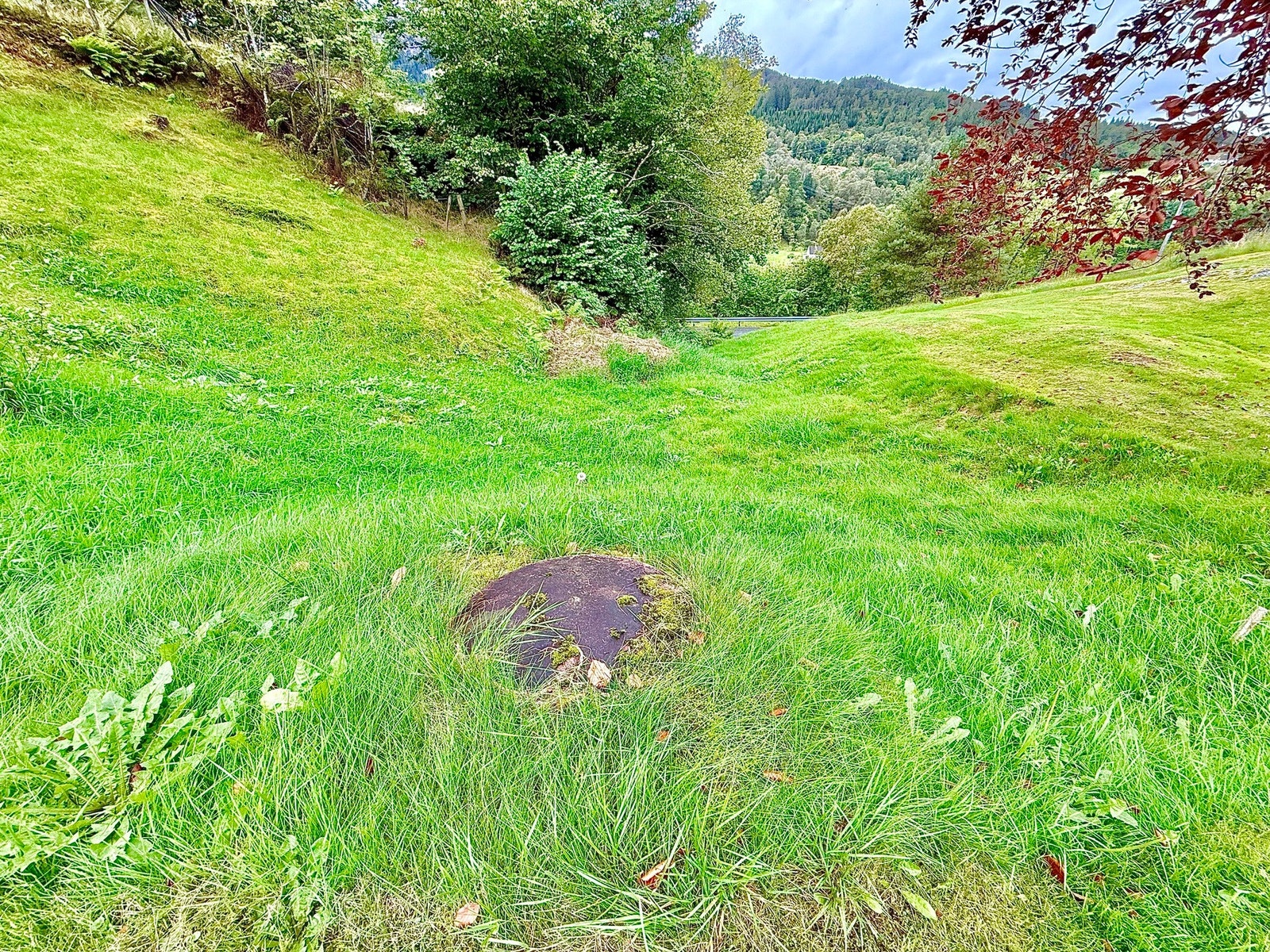 Avløpet med septik ligger i grensen mot huset foran Galleribilde