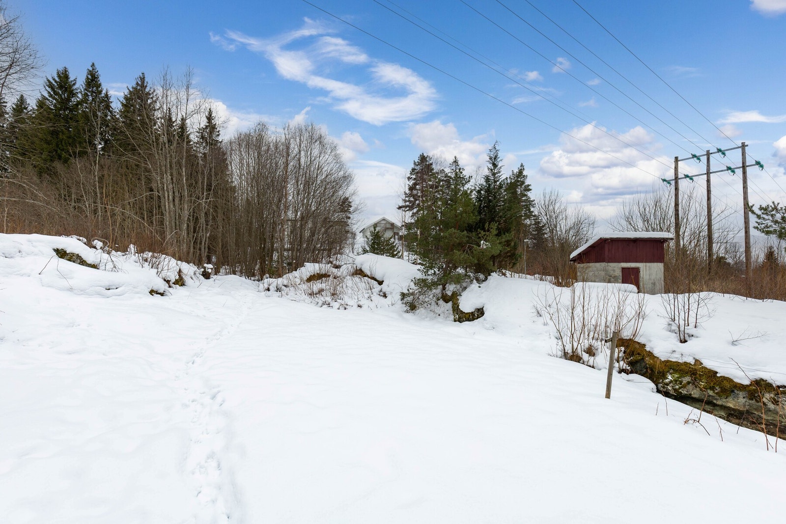 Stor og flott hage. Galleribilde