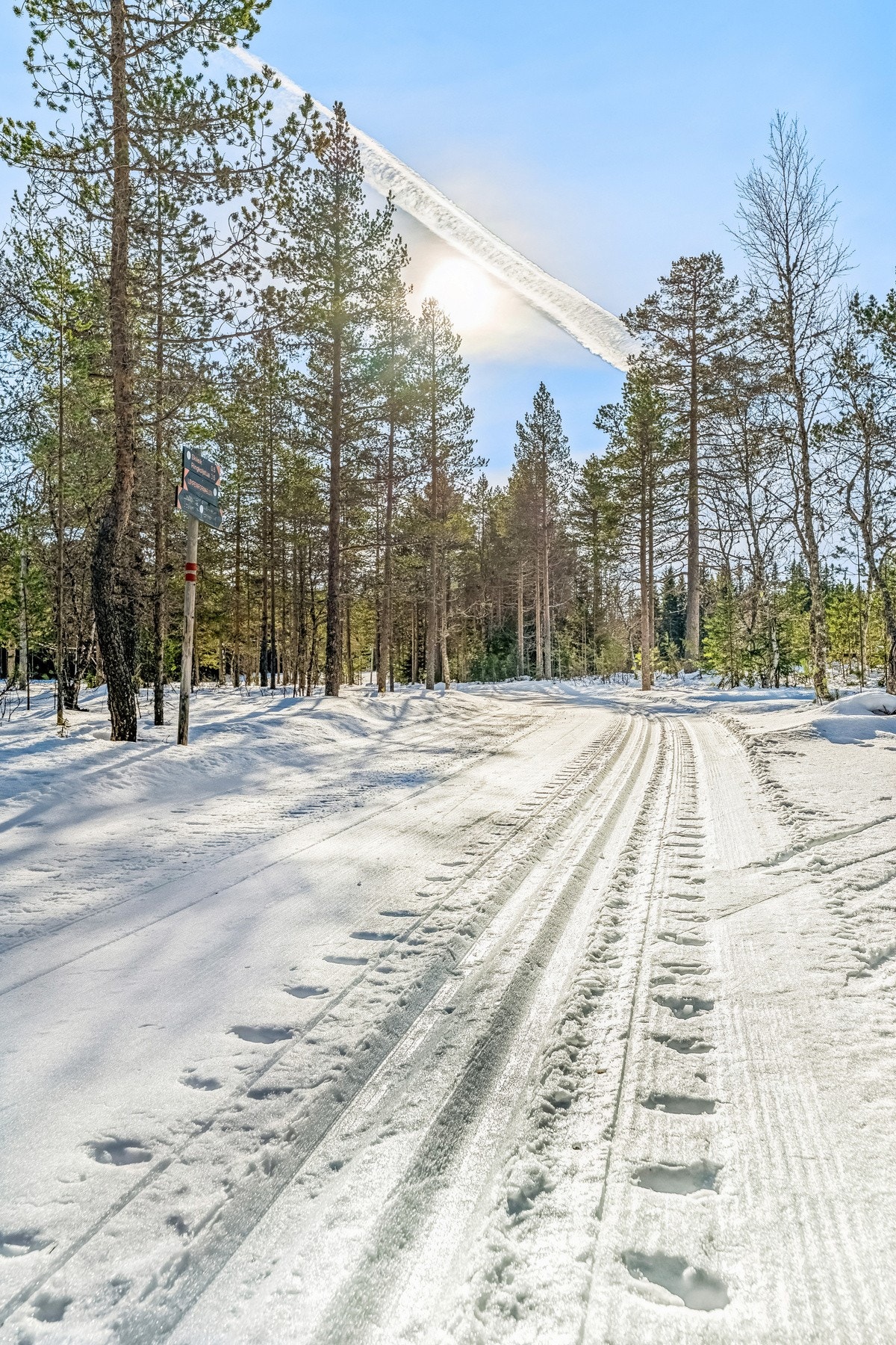 Om vinteren prepareres milevis med skiløyper fra Ringkollen og videre mot Løvlia og resten av Nordmarka - et av Østlandets mest ettertraktede løypenett. Sommerstid venter et rikt nettverk av turstier, sykkelruter og bade- og fiskevann. Galleribilde