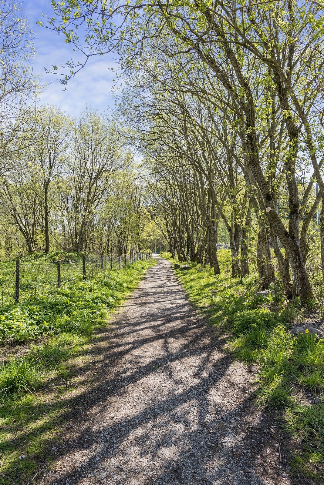 Nærområde. Galleribilde