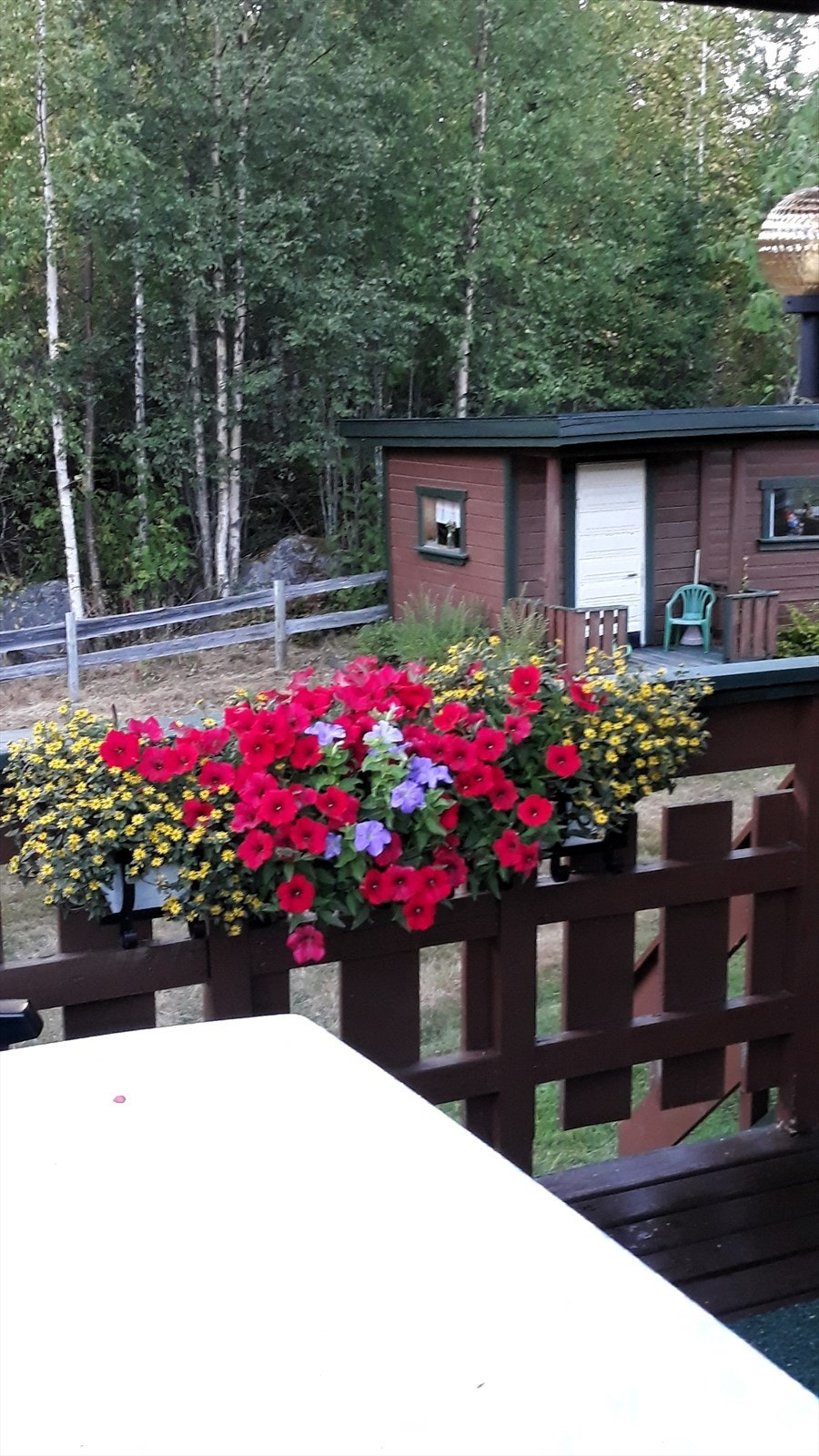 Detaljer som blomsterkasser bidrar til et hyggelig uteområdet. Galleribilde