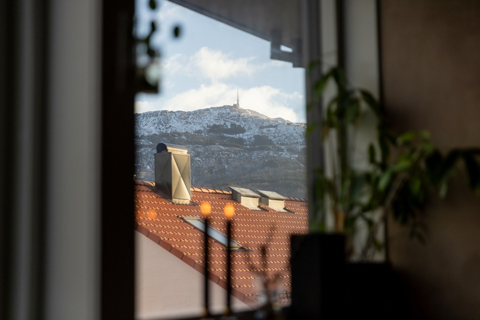 Selgers eget bilde. Galleribilde