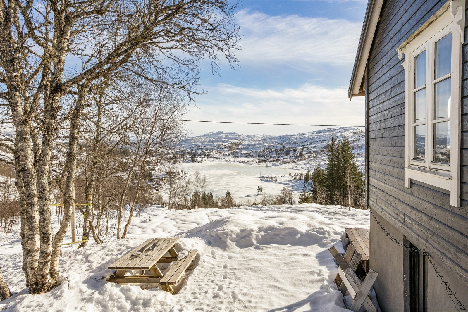 Flott naturtomt med noen bjørketrær - fri utsikt foran hytten Galleribilde