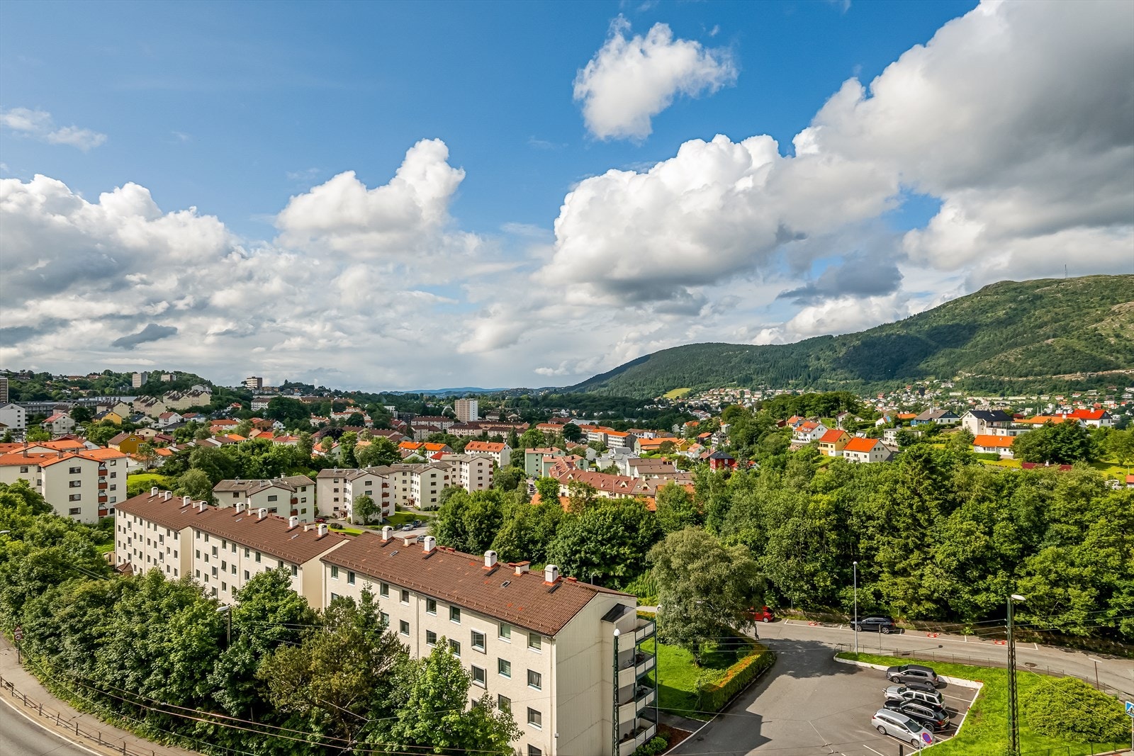 Sommerbilde utsikt Galleribilde