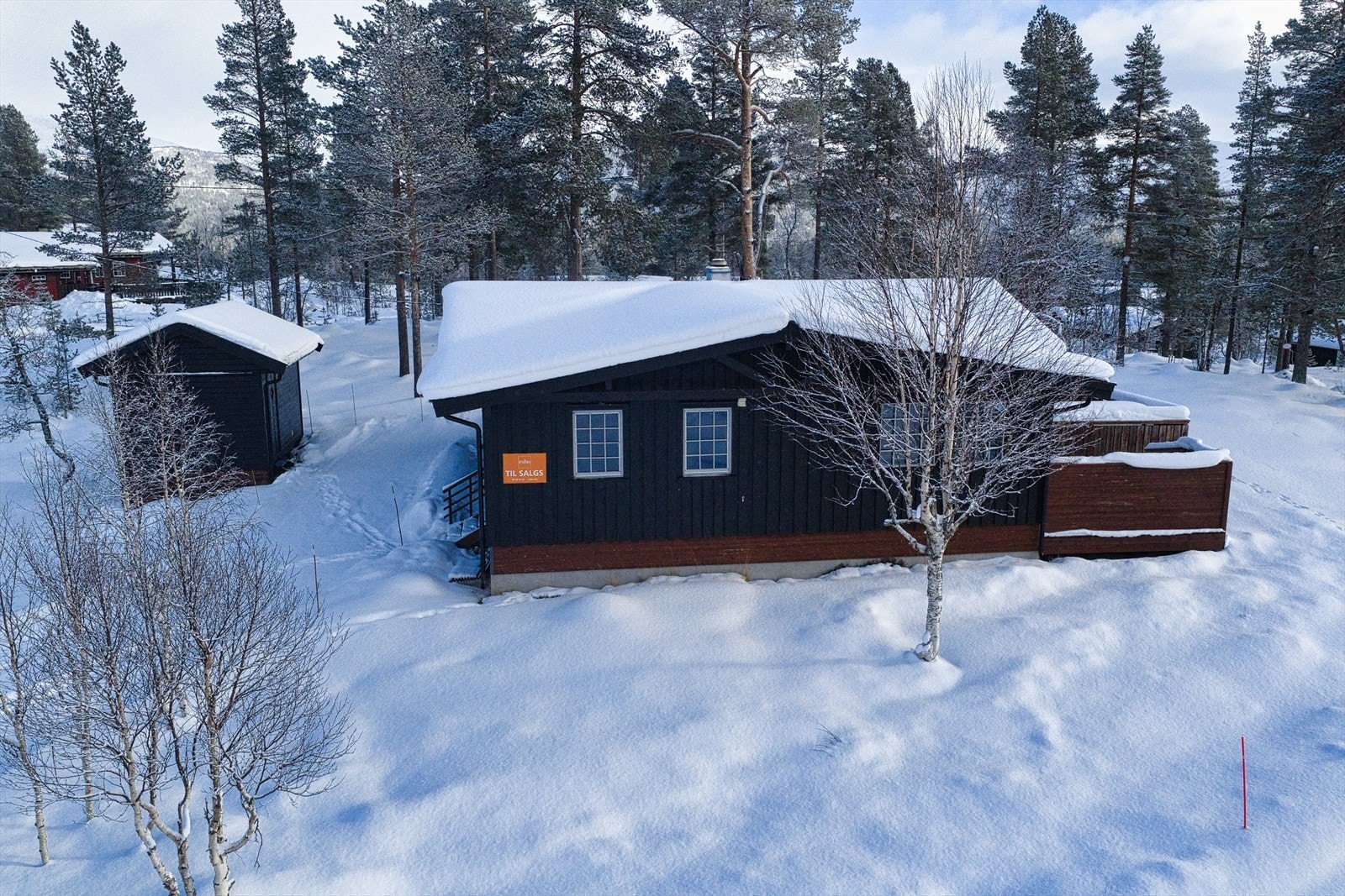 DJI_20260218232709_0278_D.jpeg Galleribilde